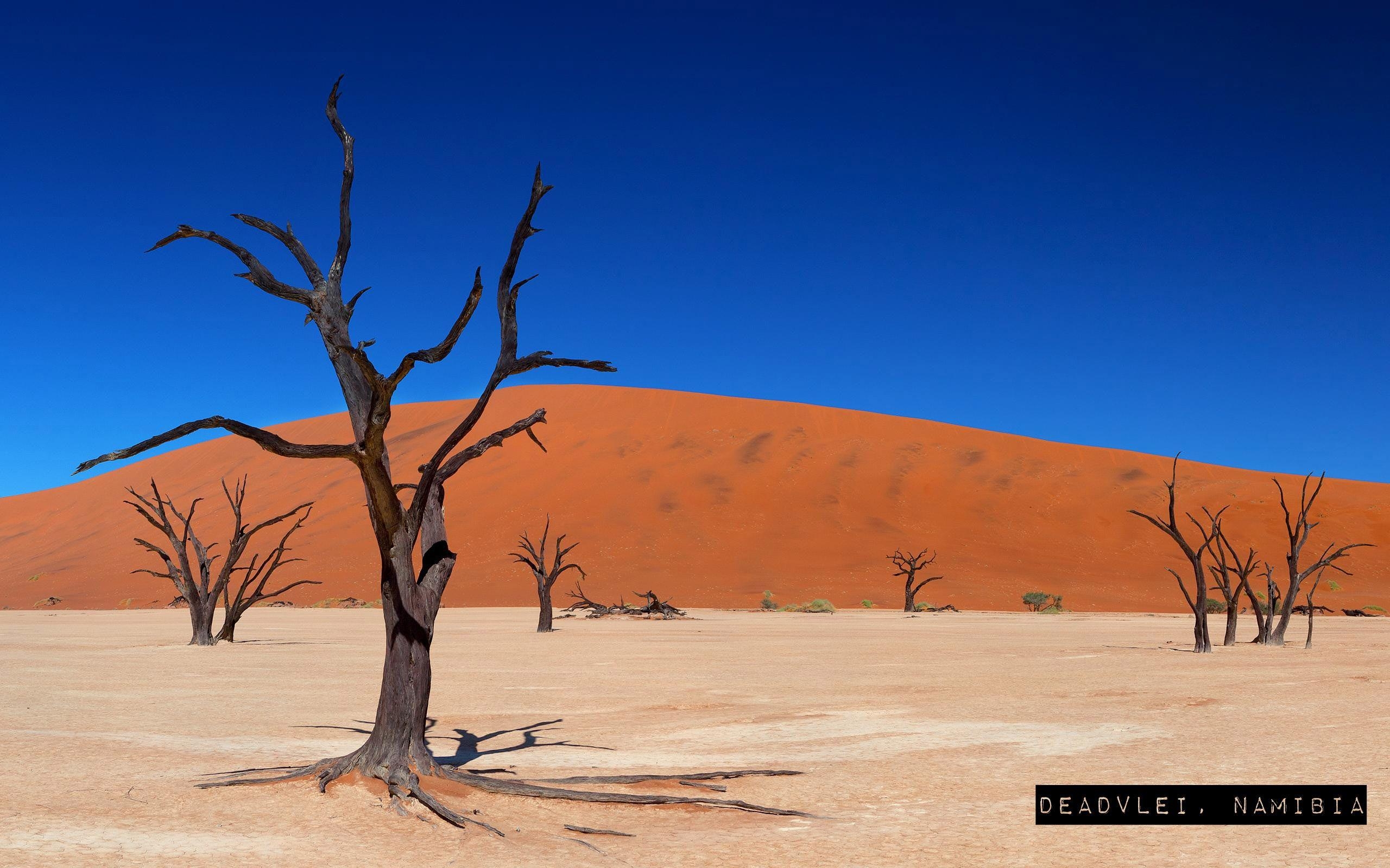 2560x1600 Deadvlei, Namibia places to see before you die. Wallpaper, Desktop