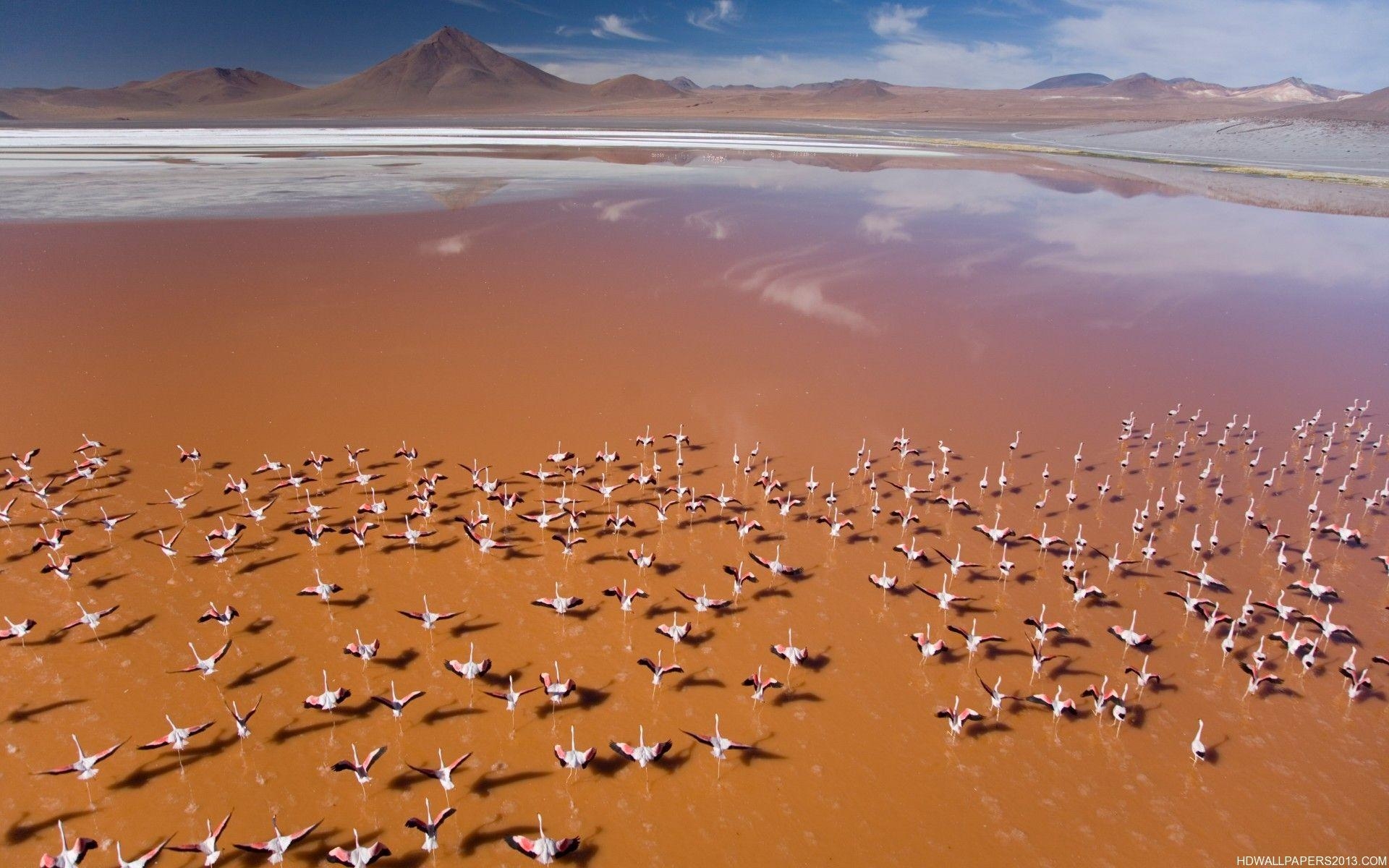 1920x1200 Atacama Desert. Bucket ToDo List. Deserts, Bolivia, Places, Desktop