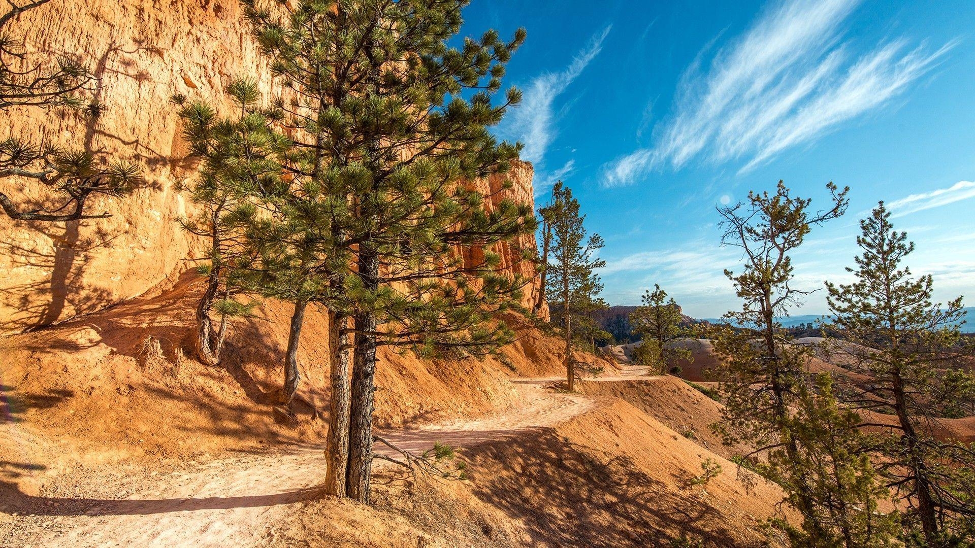 1920x1080 Bryce Canyon National Park, Nature, Landscape, Desert, Trees, Desktop