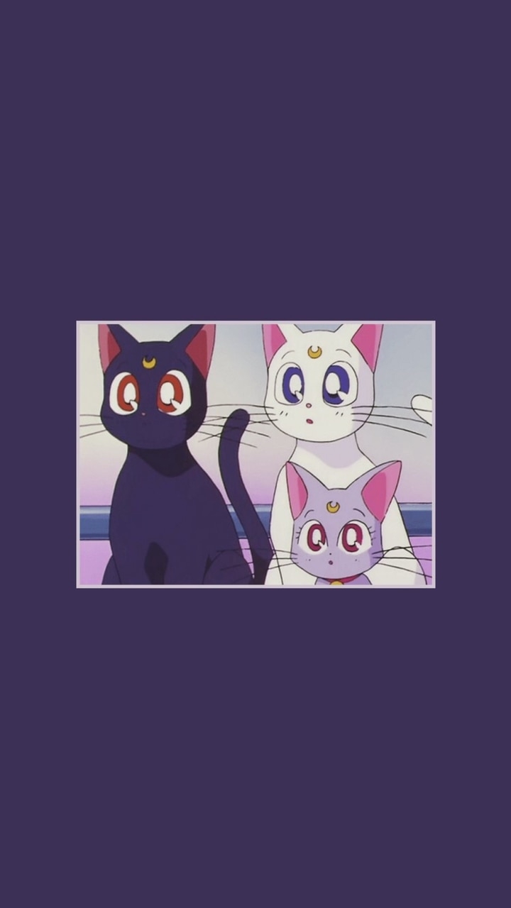 720x1280 Cat, Wallpaper, And Purple Image Sailor Moon Kawaii, Phone