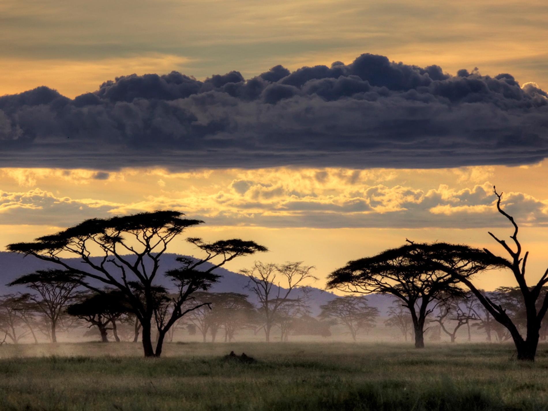 1900x1430 Serengeti, Tanzania, Desktop