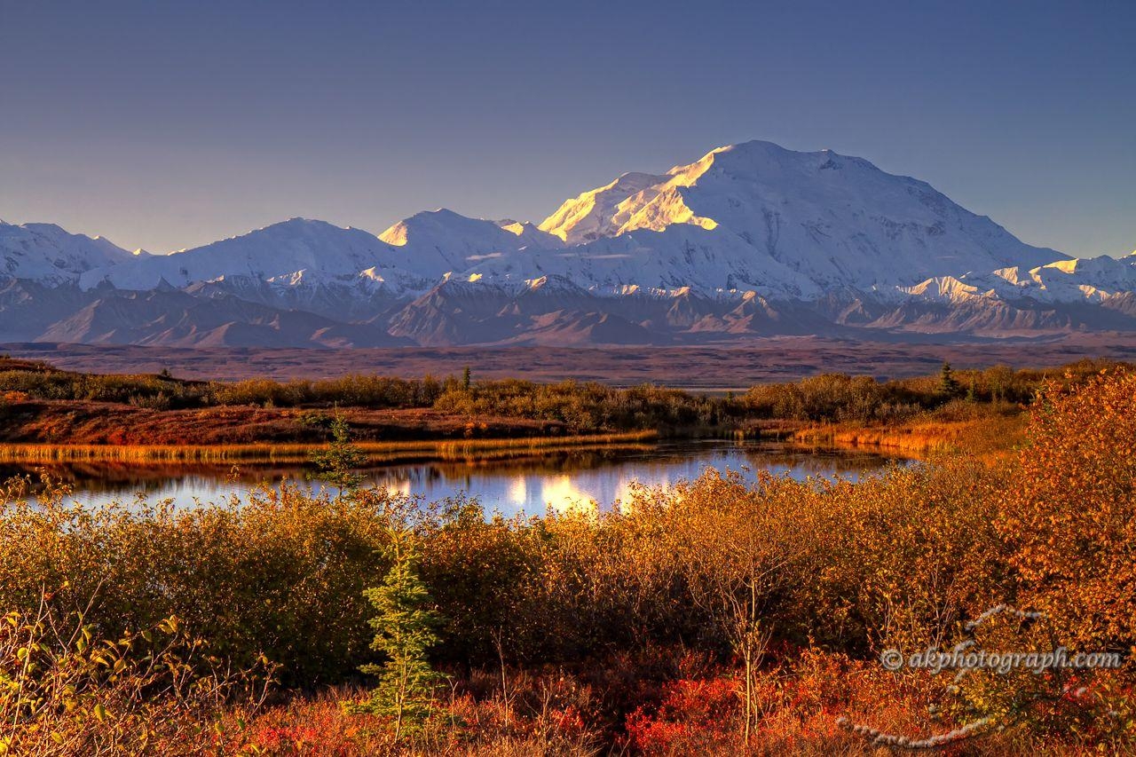 1280x860 Denali National Park a lot of time there in, took, Desktop