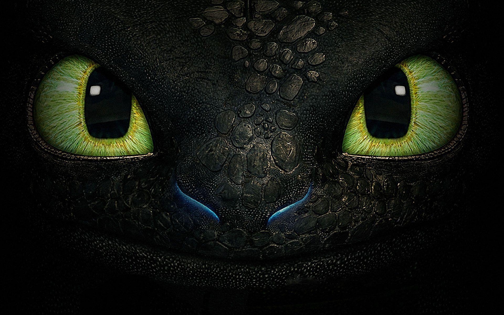 1920x1200 How to Train Your Dragon 2 Wallpaper HD Collection. HOW TO TRAIN, Desktop