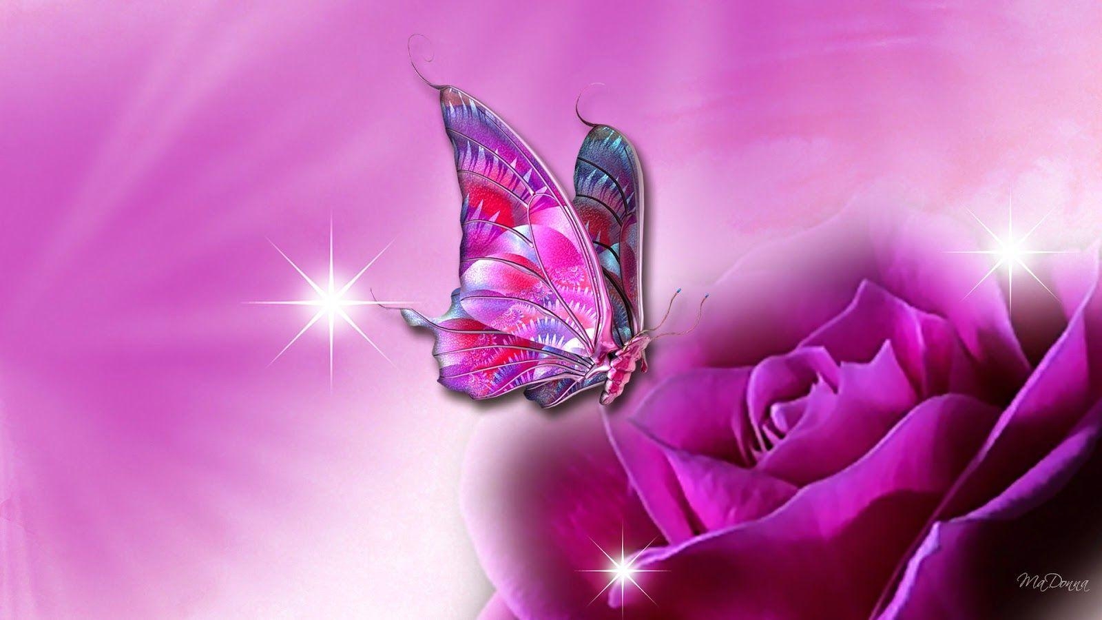 1600x900 Pink Butterfly on Purple Flower wallpaper, Desktop