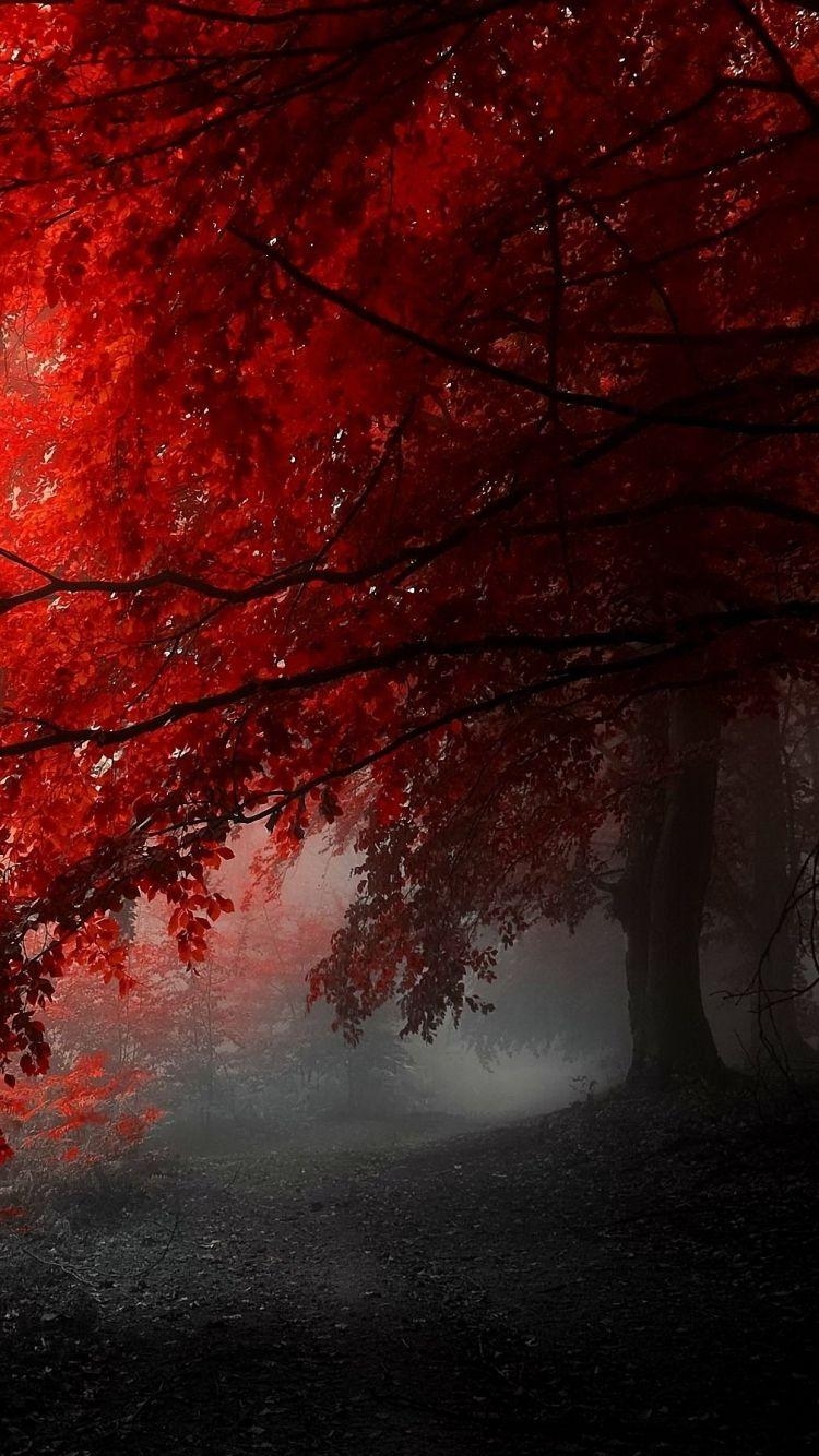 750x1340 HD  awesome red tree iphone 6 wallpaper. Fall Wallpaper, Phone