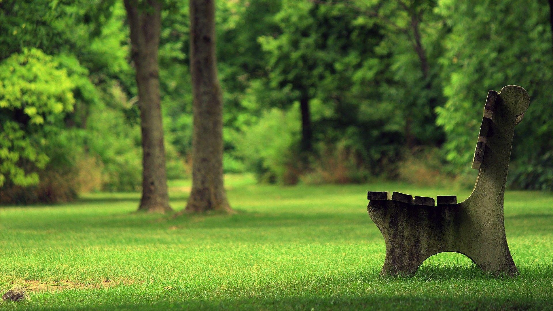 1920x1080 Green Park Wallpaper, Cool Green Park Background Superb Green, Desktop