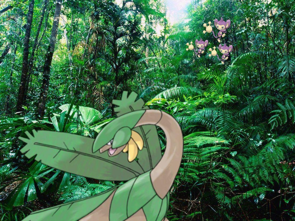 1030x770 Pokemon around the world in a rainforest, Desktop