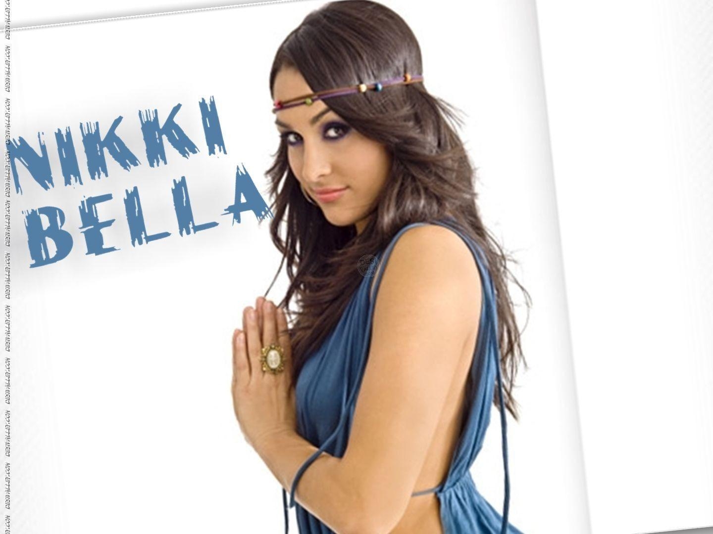 1440x1080 WWE Nikki Bella 2015 Wallpaper, 45 Best HD Photo of WWE Nikki, Desktop