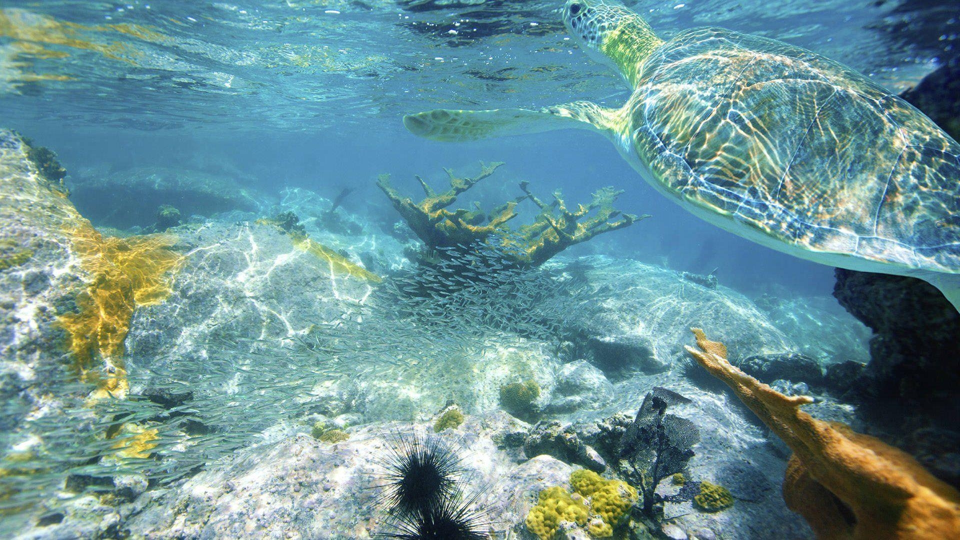 1920x1080 Virgin Islands. National Park Foundation, Desktop