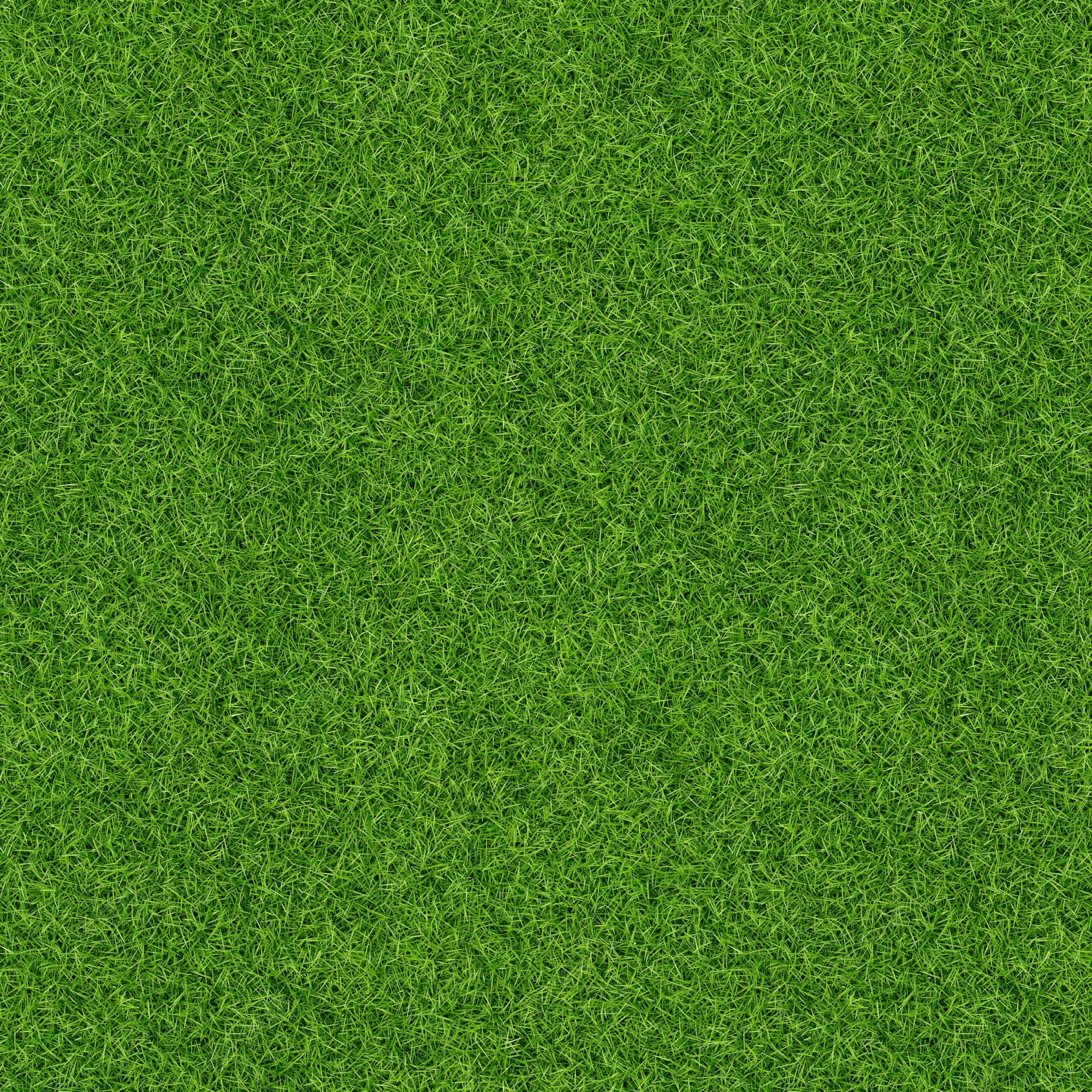 2000x2000 Seamless Grass Texture Image, Phone