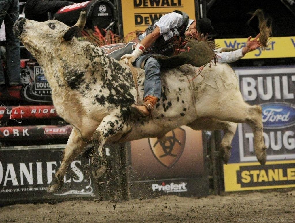 1030x780 Bull Riding Wallpaper Desktop Background, Desktop