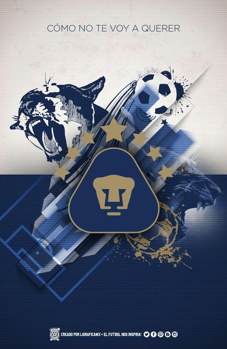 740x1130 best Pumas image. Blue, Gold and Snood, Phone