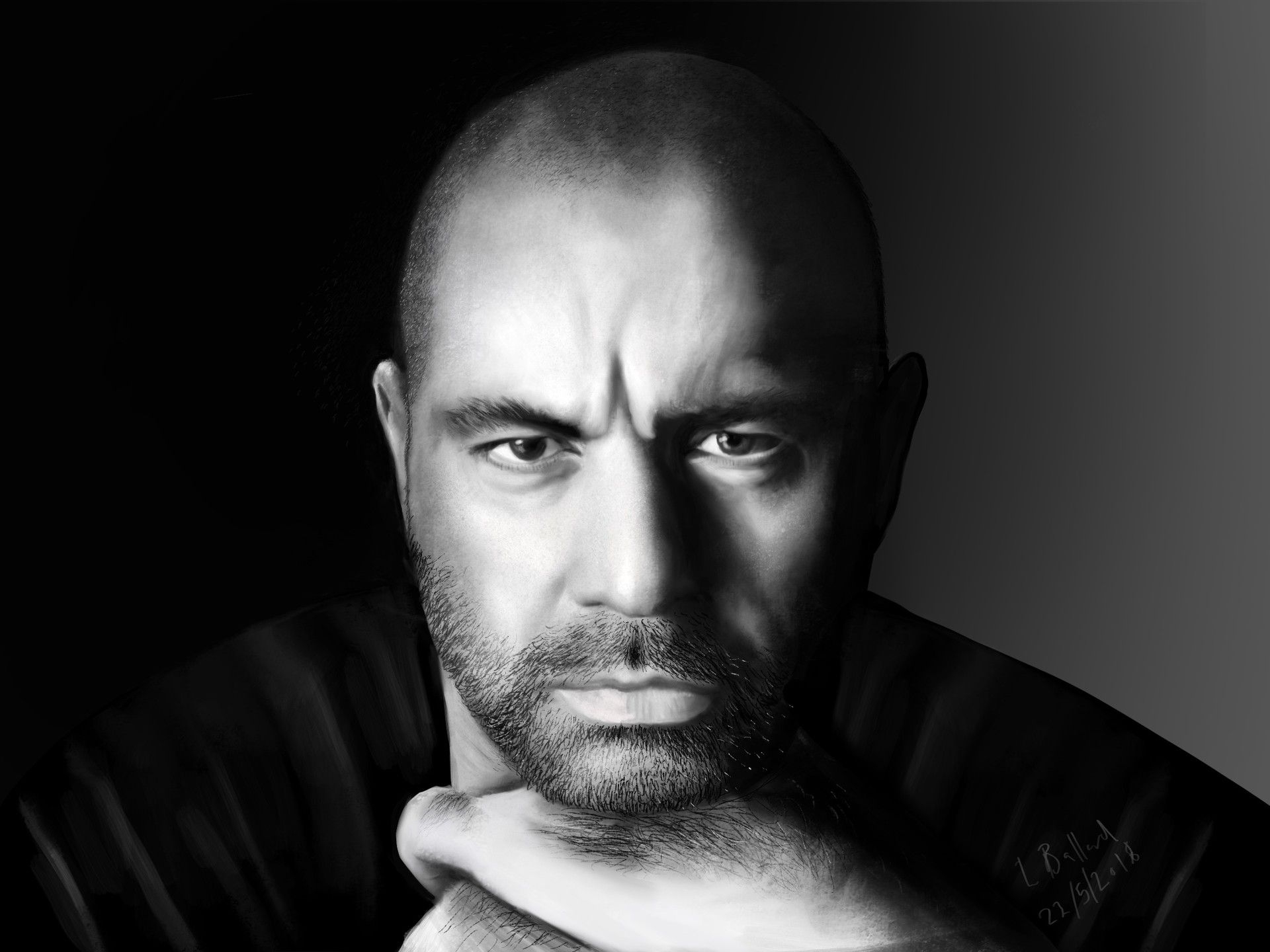 1920x1440 Joe Rogan portrait, Luke Ballard, Desktop