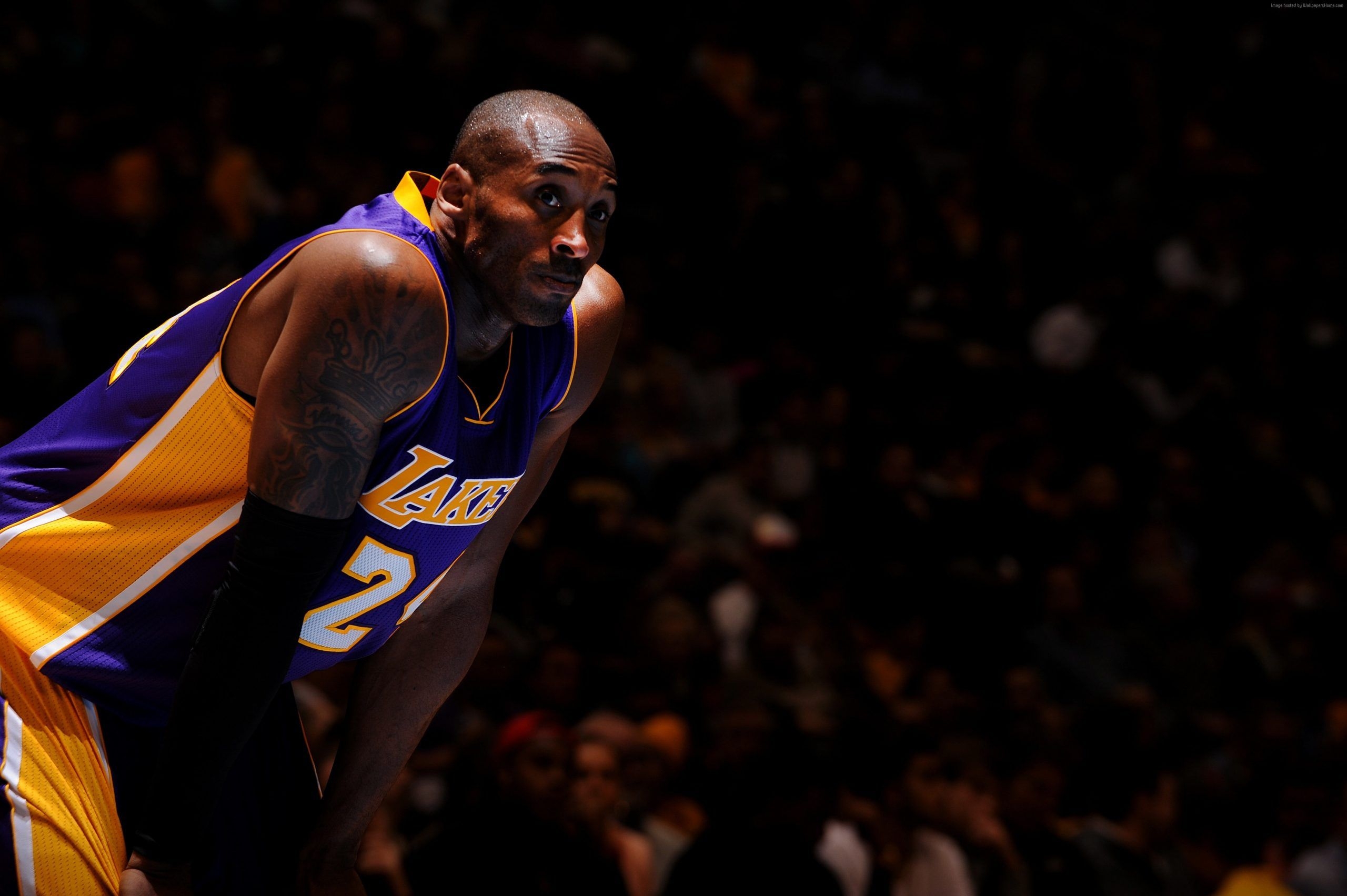 2560x1710 Los Angeles Lakers wallpaper, Kobe Bryant, Shooting guard, Best Basketball Players of 2015 • Wallpaper For You HD Wallpaper For Desktop & Mobile, Desktop