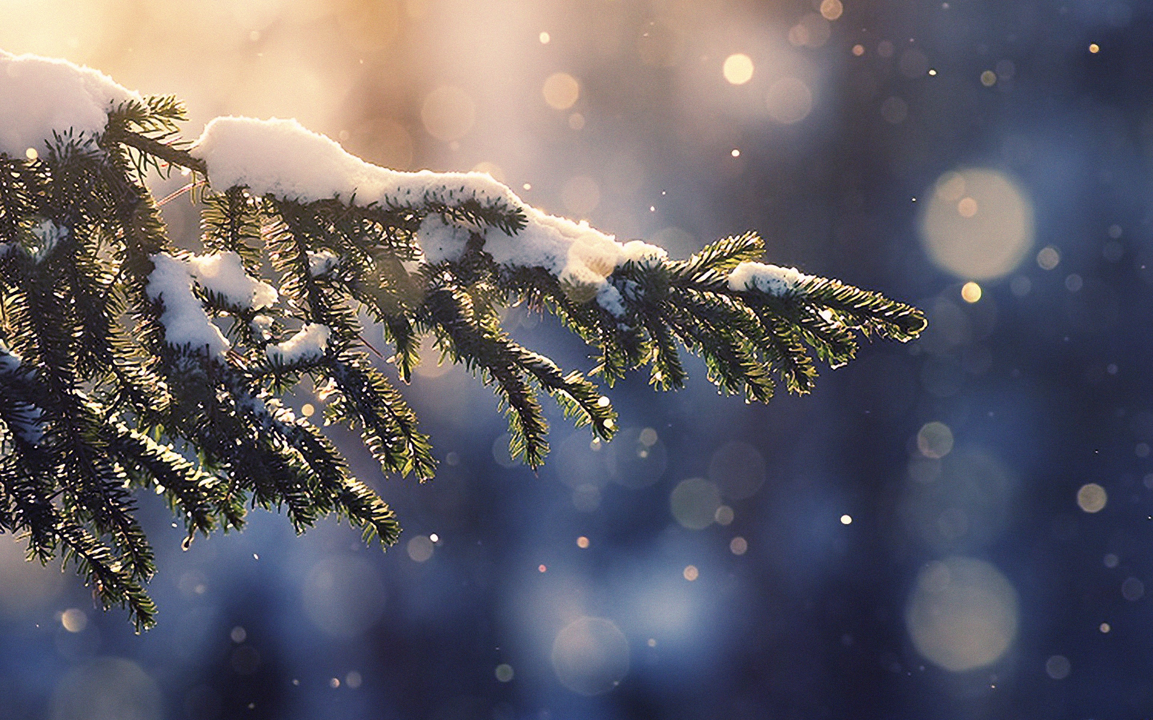 3840x2400 4K Winter wallpaper for iPhone, iPad, or MacBook, Desktop