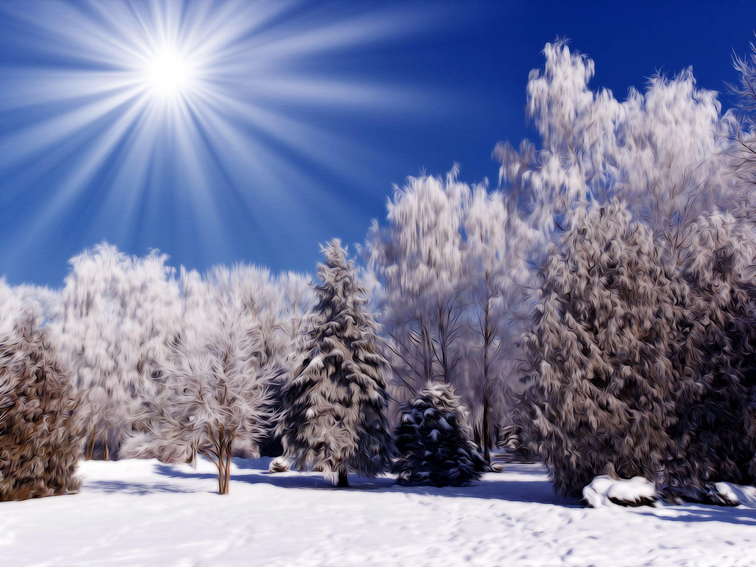 2560x1920 Winter Nature Snow Scene Wallpaper 19808 Full HD Wallpaper Desktop, Desktop