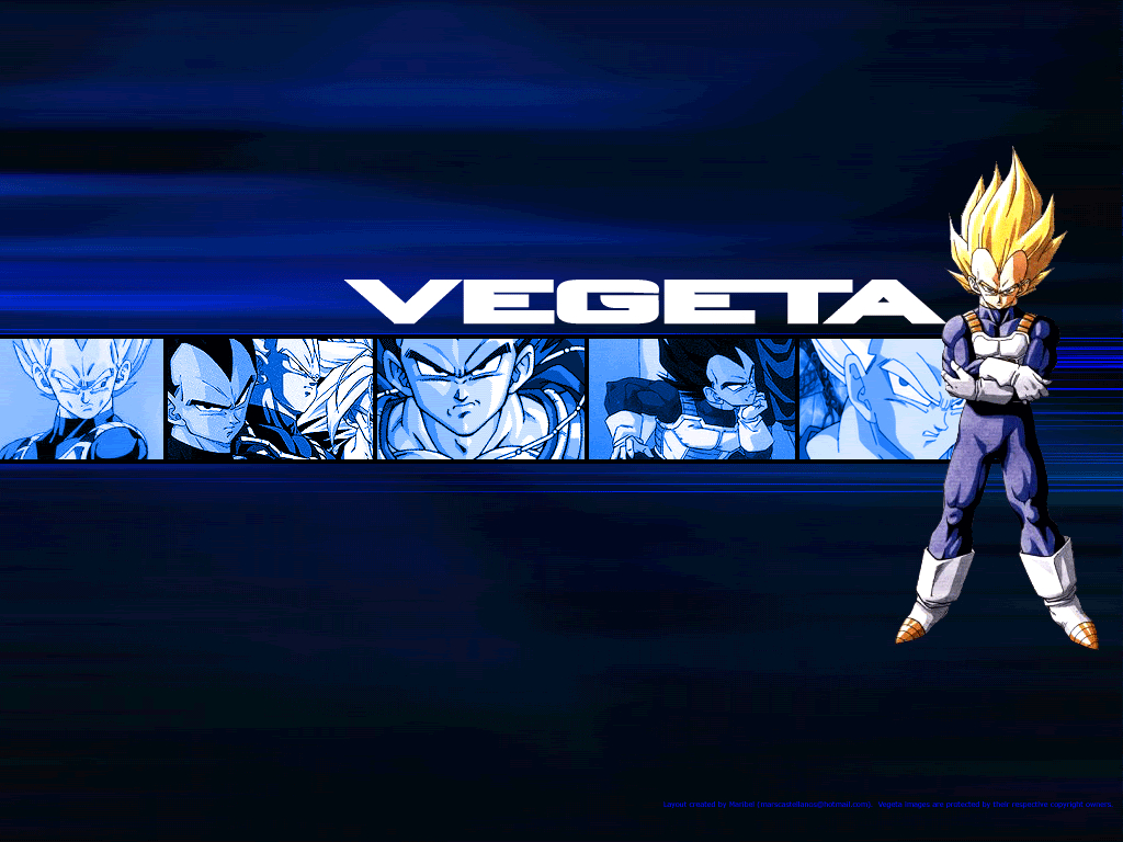 1030x770 Vegeta Vegeta Wallpaper, Desktop