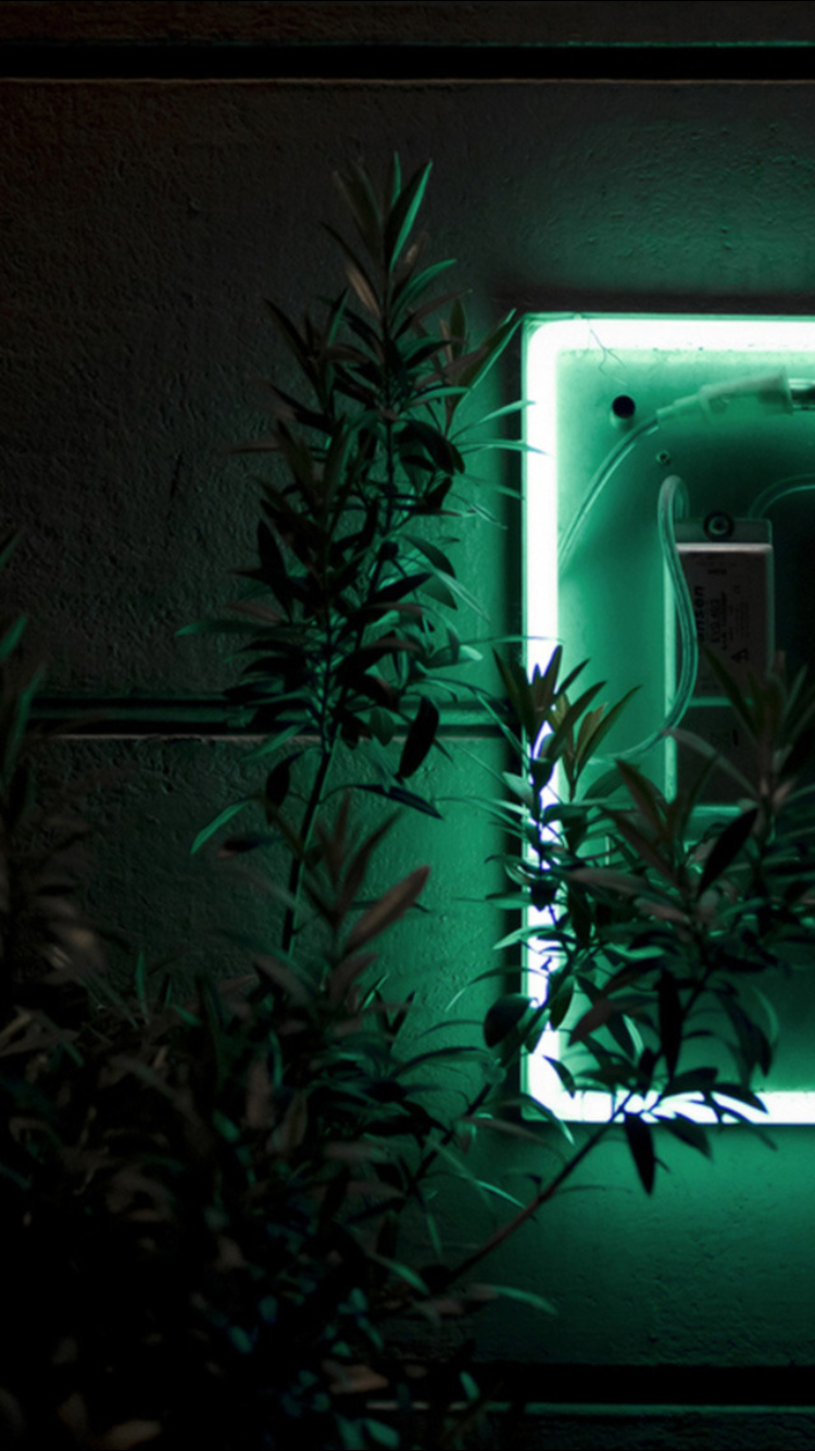 750x1340 WALLPAPER image by Trystan Jordan. Dark green aesthetic, Green, Phone