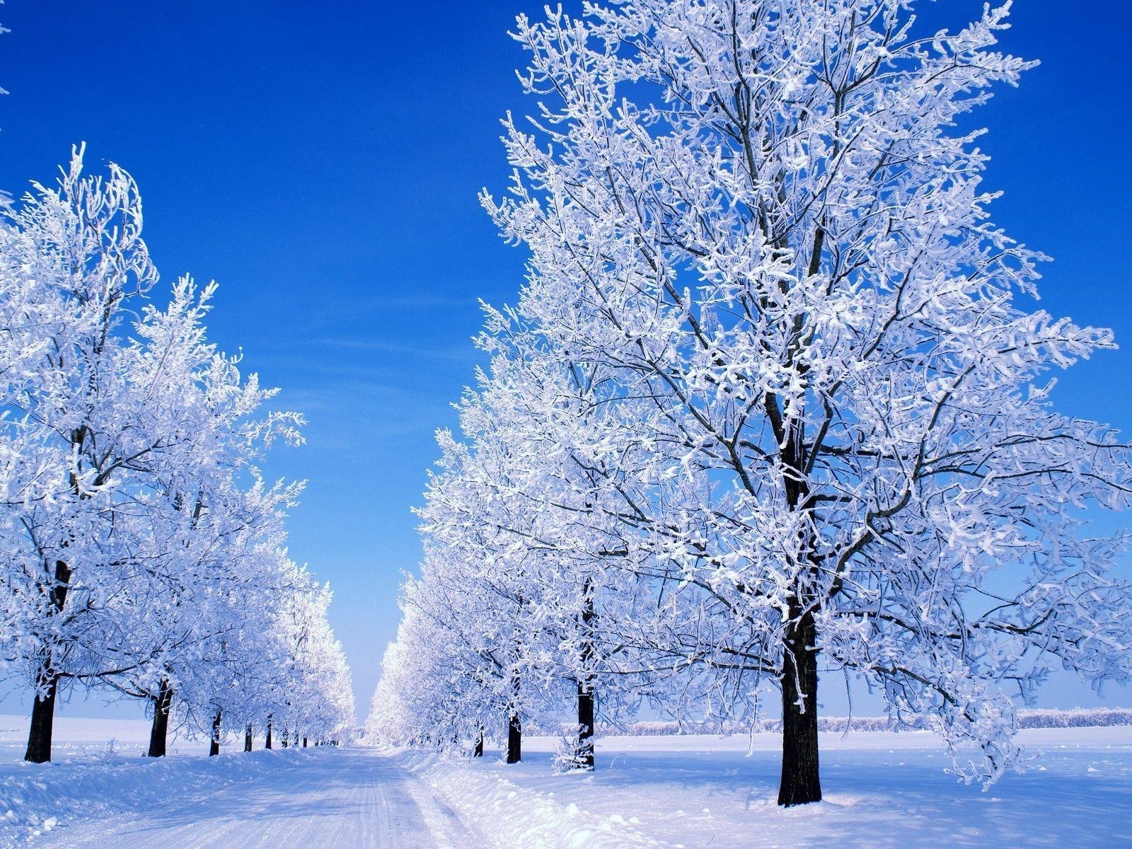 1600x1200 Great Winter Snowy Scene desktop wallpaper and, Desktop