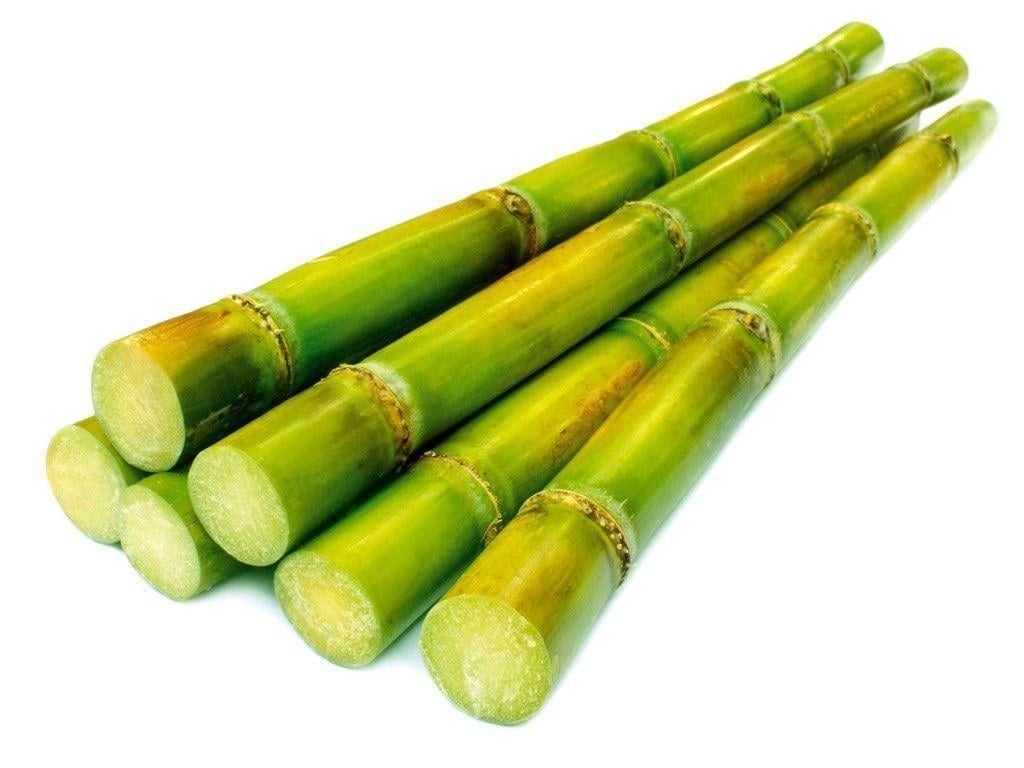 1030x770 Cooking with sugarcane: How to use it in recipes at home, Desktop