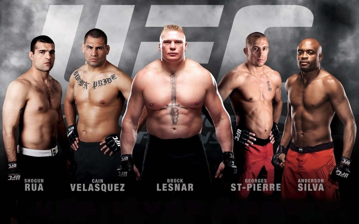 1440x900 Mma wallpaper for desktop, download, Desktop