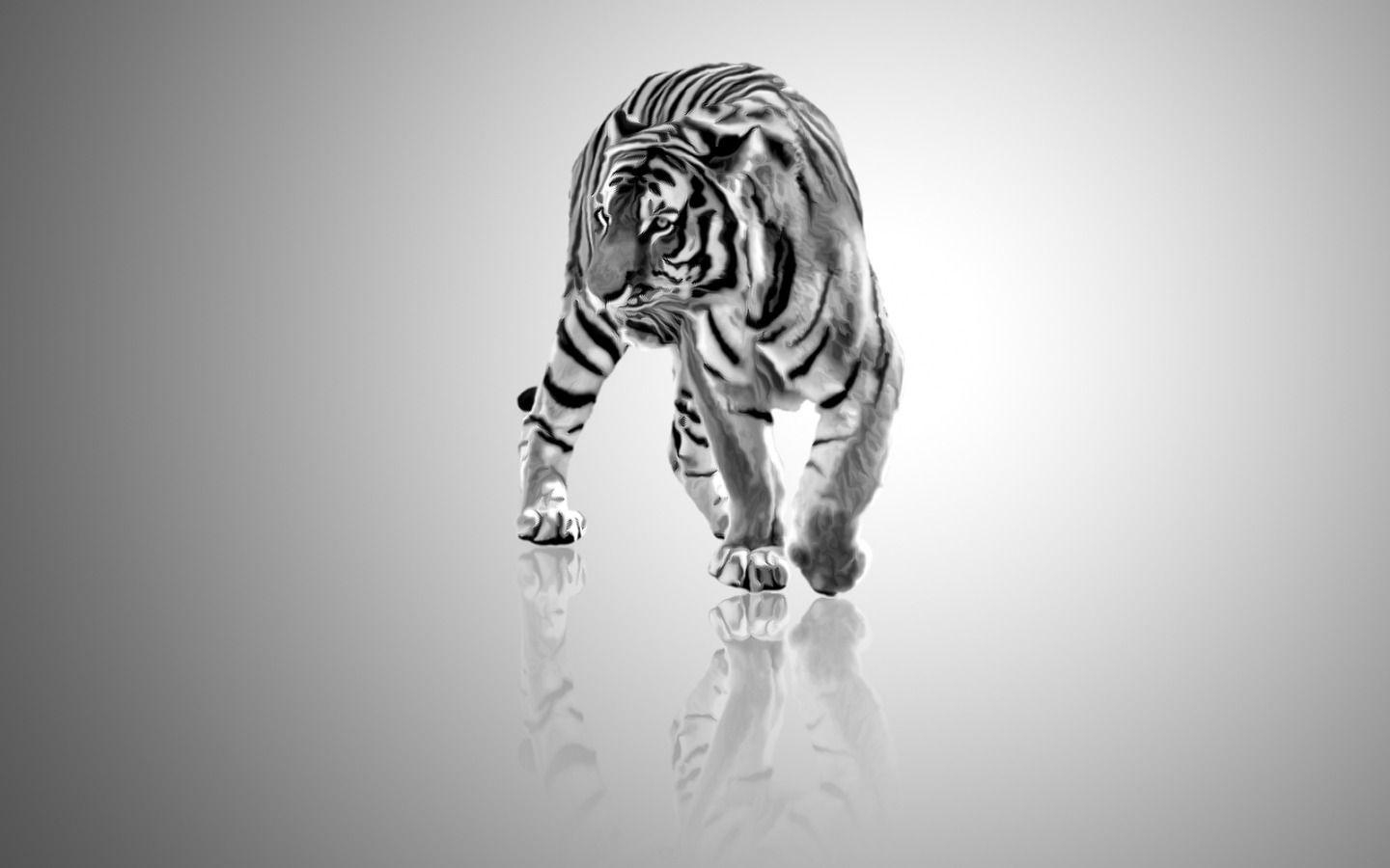 1440x900 White Tigers Wallpaper High Definition 912461 Wallpaper, Desktop