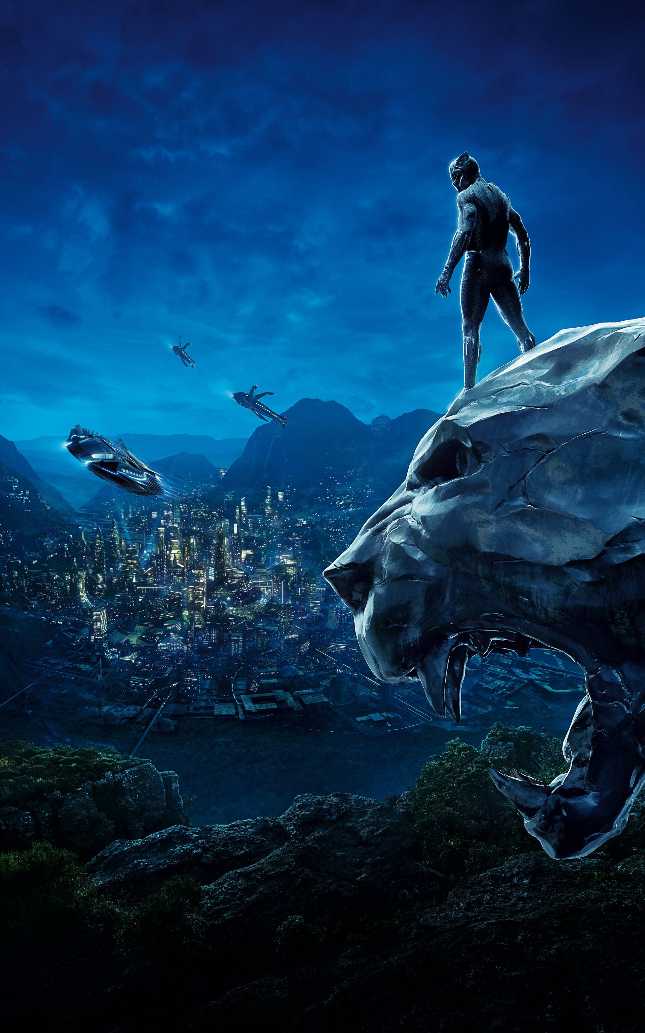 2500x4000 Black Panther Wallpaper HD 1080p, Phone