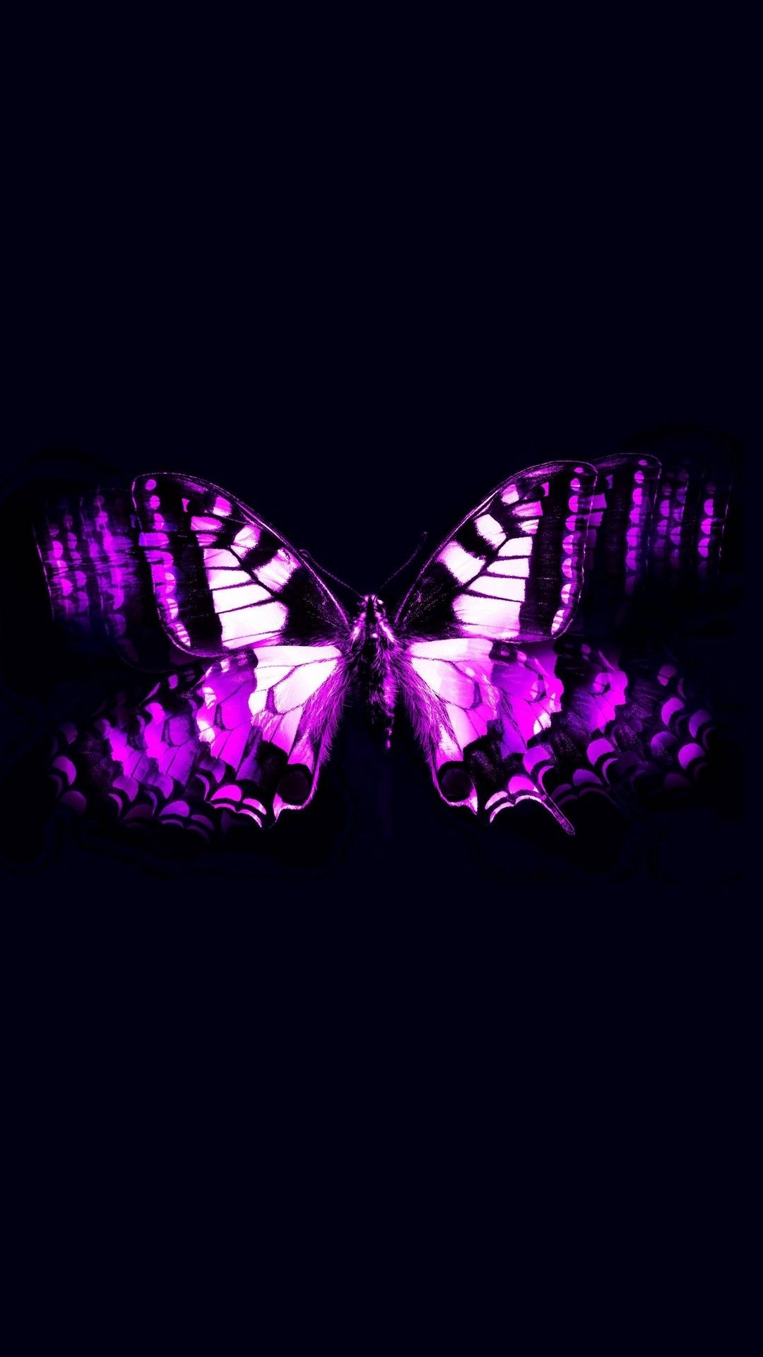 1080x1920 iPhone Wallpaper Purple Butterfly 3D iPhone Wallpaper, Phone