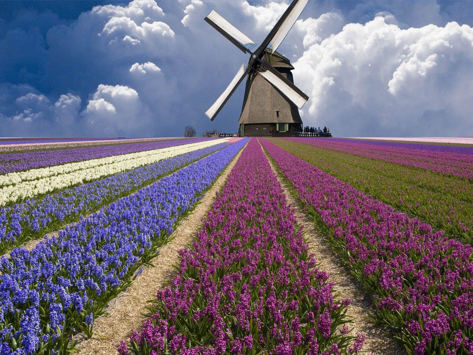 1600x1200 The best of the best wallpaper of the Netherlands, Desktop