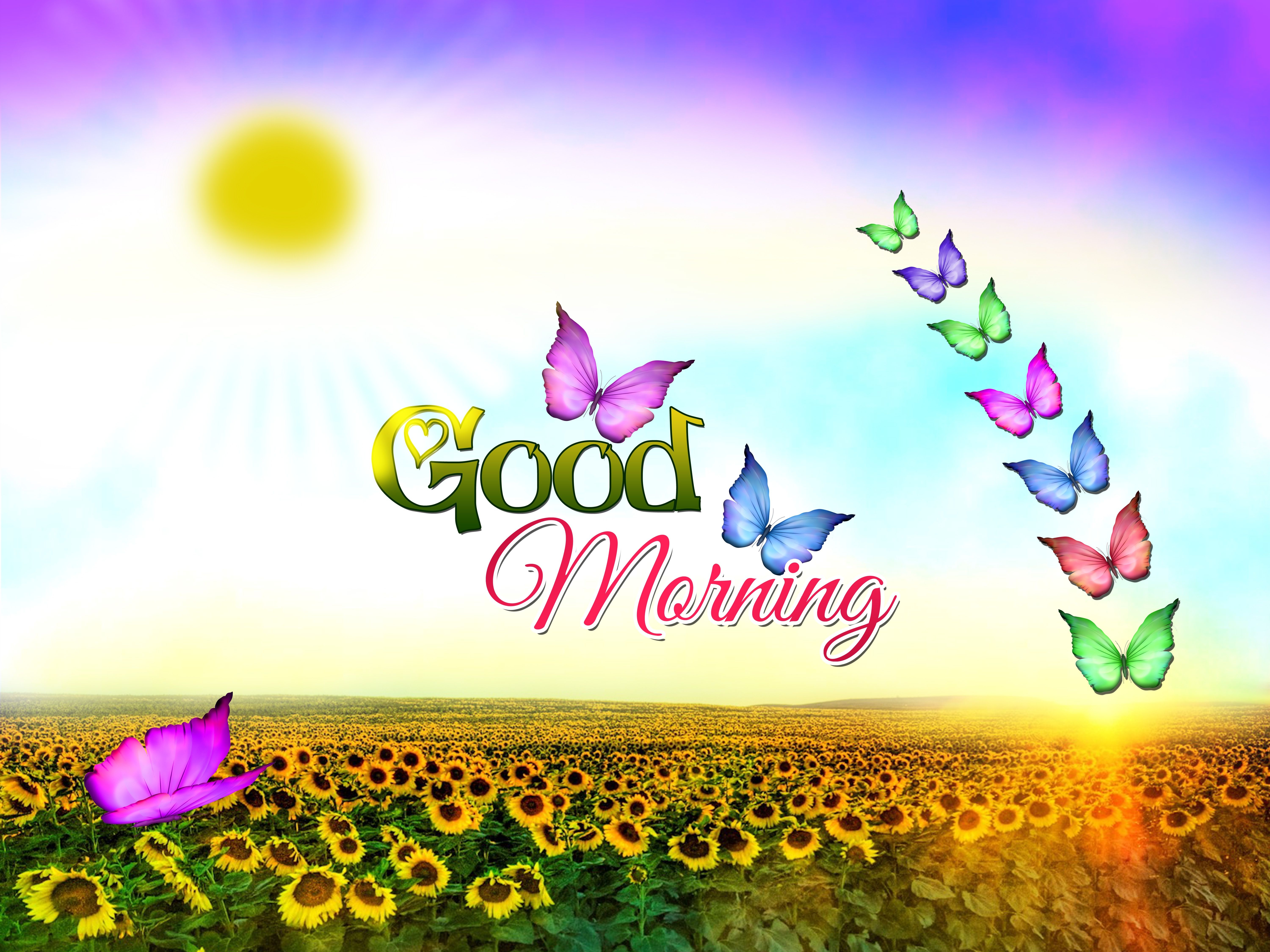 6000x4500 Free Good Morning Wallpaper Full HD, Desktop