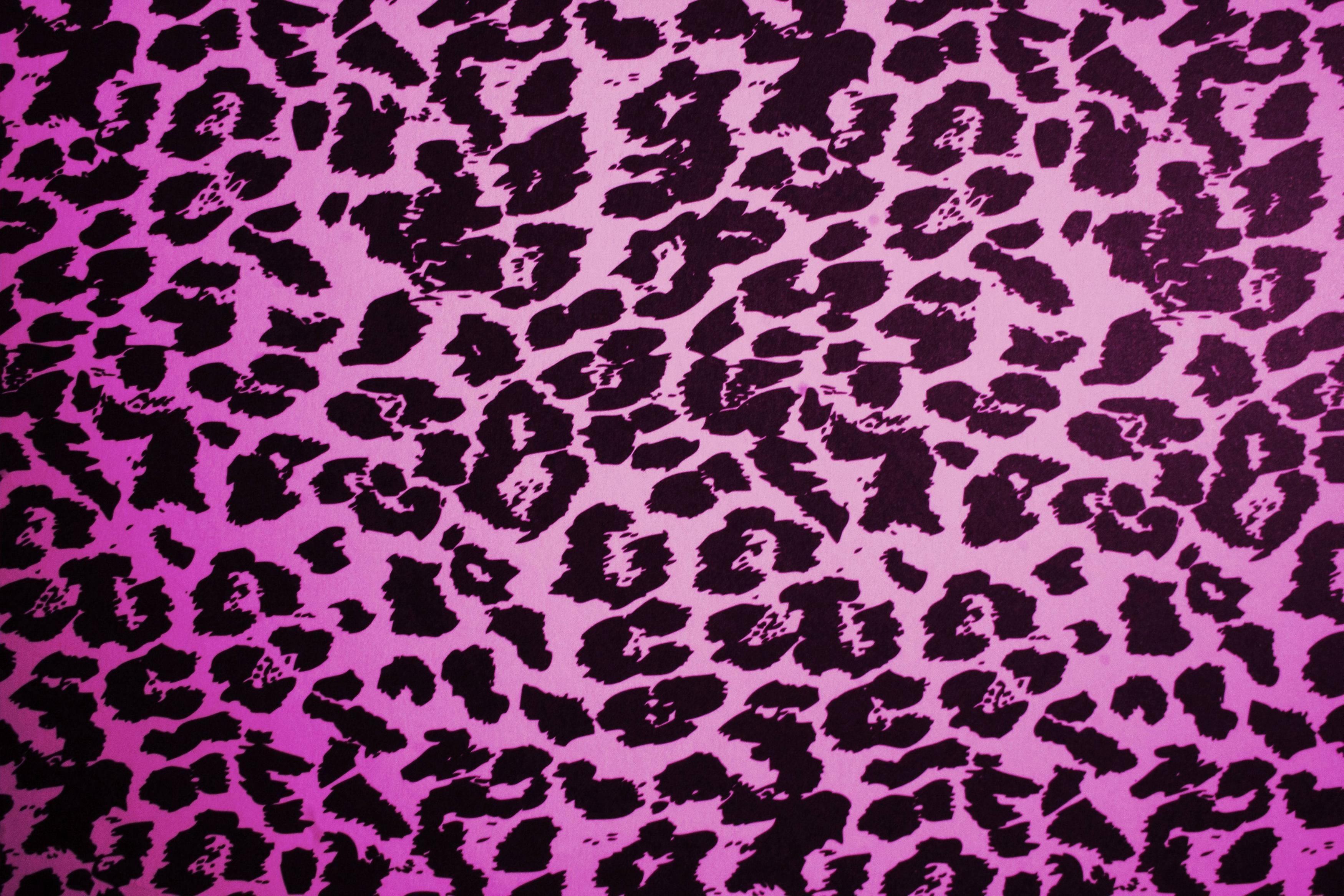 3500x2340 Wallpaper For > Colorful Animal Print Desktop Background, Desktop