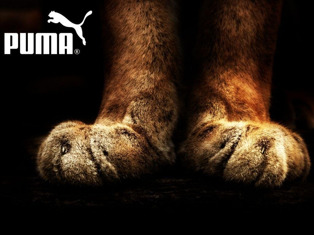 1030x770 Fantastic Puma Wallpaper For iPhone, Desktop