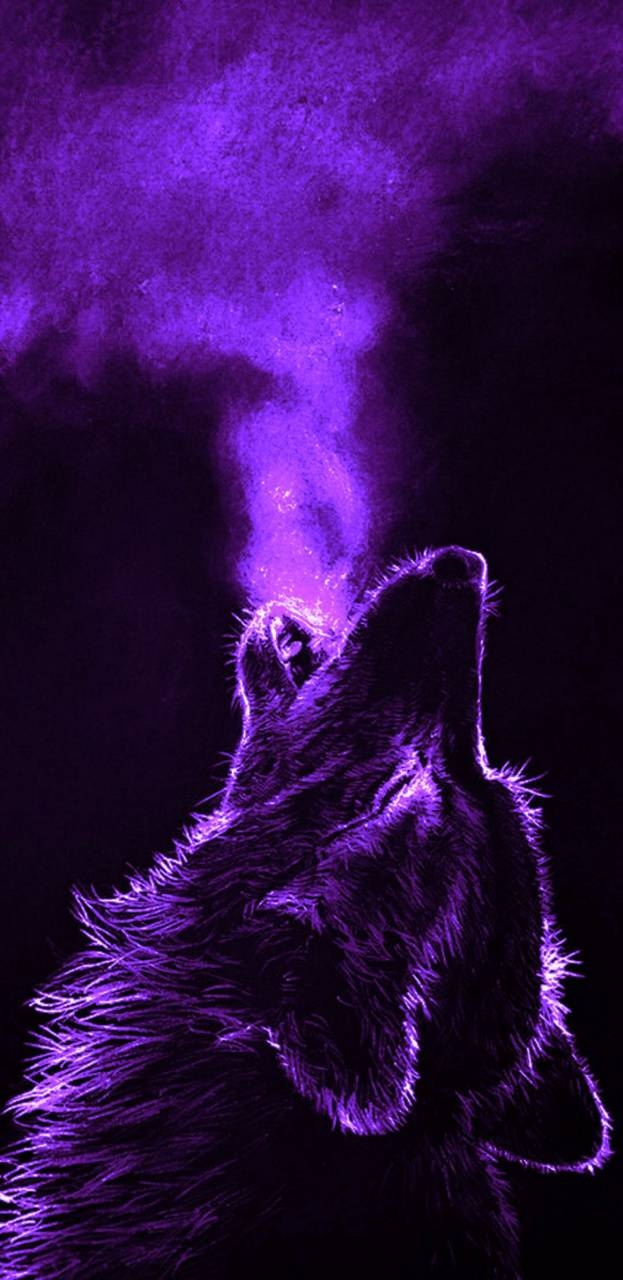 630x1280 Purple Wolf Wallpaper Free Purple Wolf Background, Phone