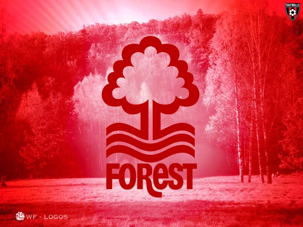 1030x770 Nottingham Forest Wallpaper, Desktop