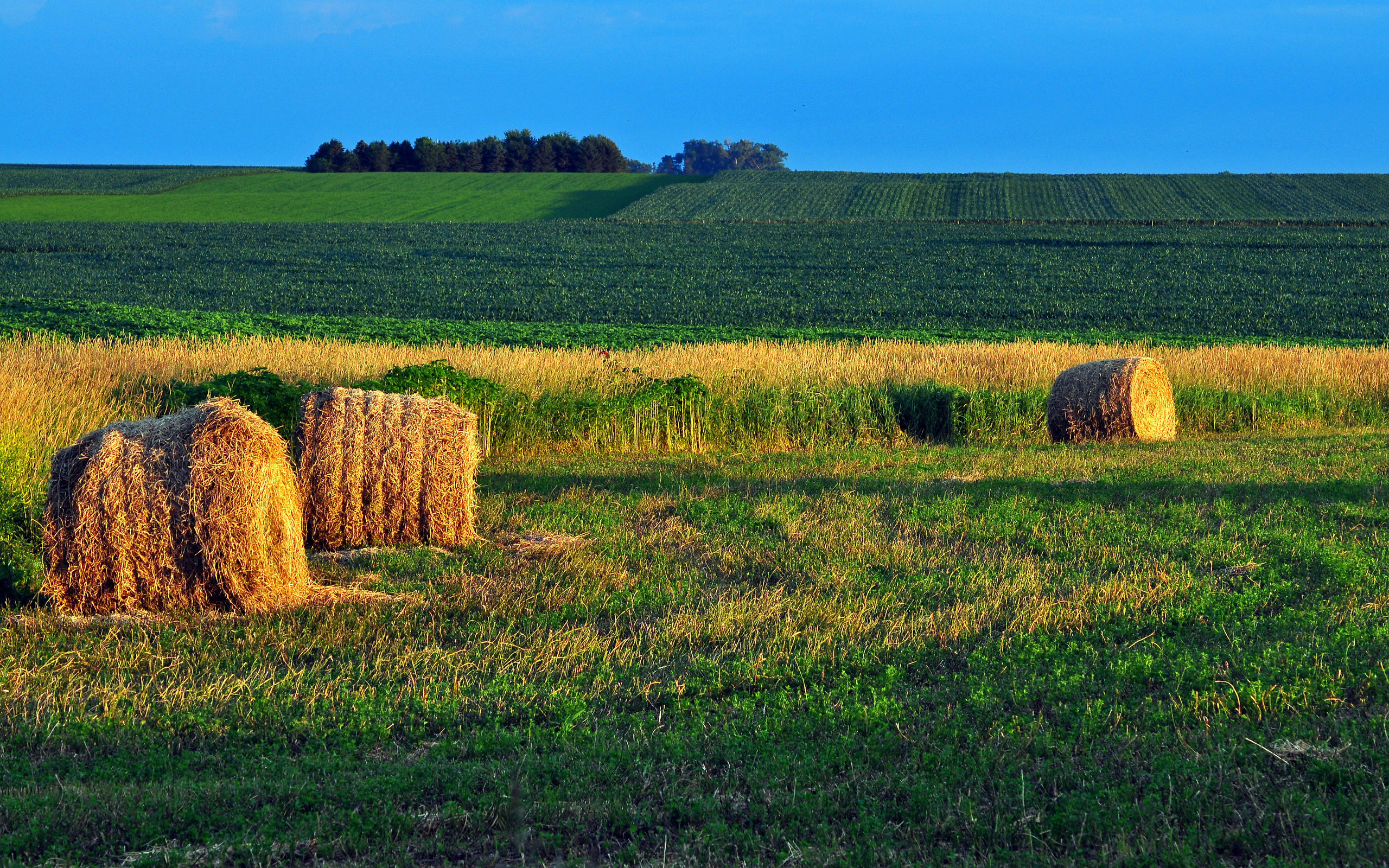 2560x1600 field, Hay, Landscape, Farm, Rustic, Autumn Wallpaper HD / Desktop and Mobile Background, Desktop