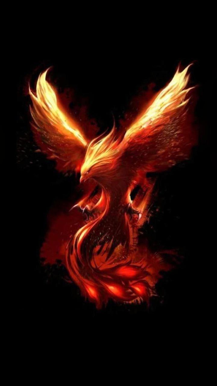 720x1280 Phoenix Wallpaper 109. Phoenix. Phoenix, Phone