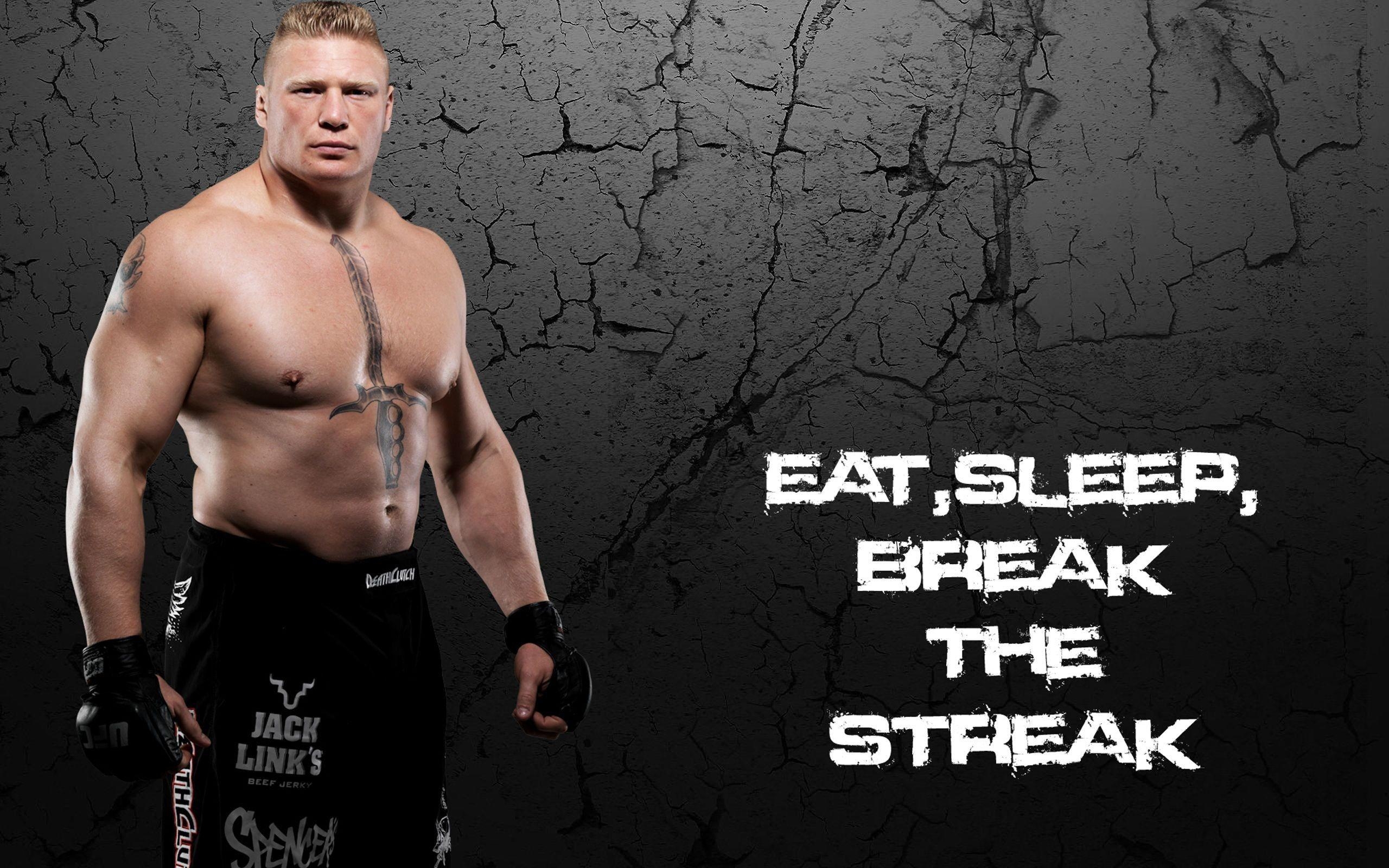 2560x1600 Brock Lesnar WWE 2018 Wallpaper 1024x768, Desktop