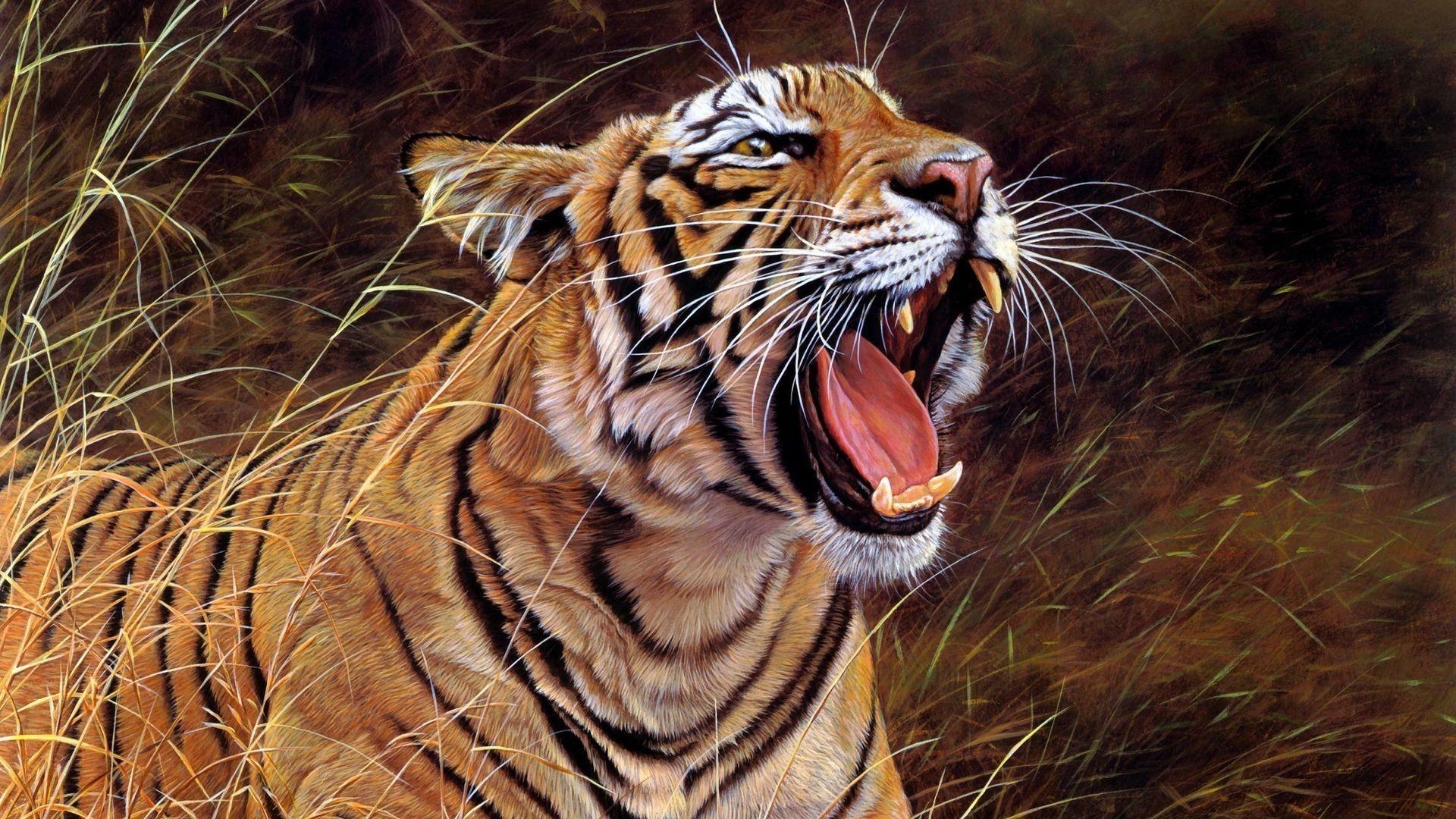 1920x1080 Download Wallpaper  tiger, big cat, teeth, striped, anger, Desktop