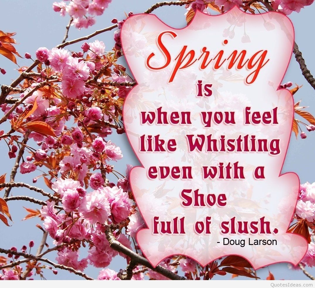 1080x990 Spring quotes wallpaper and spring background hd, Desktop