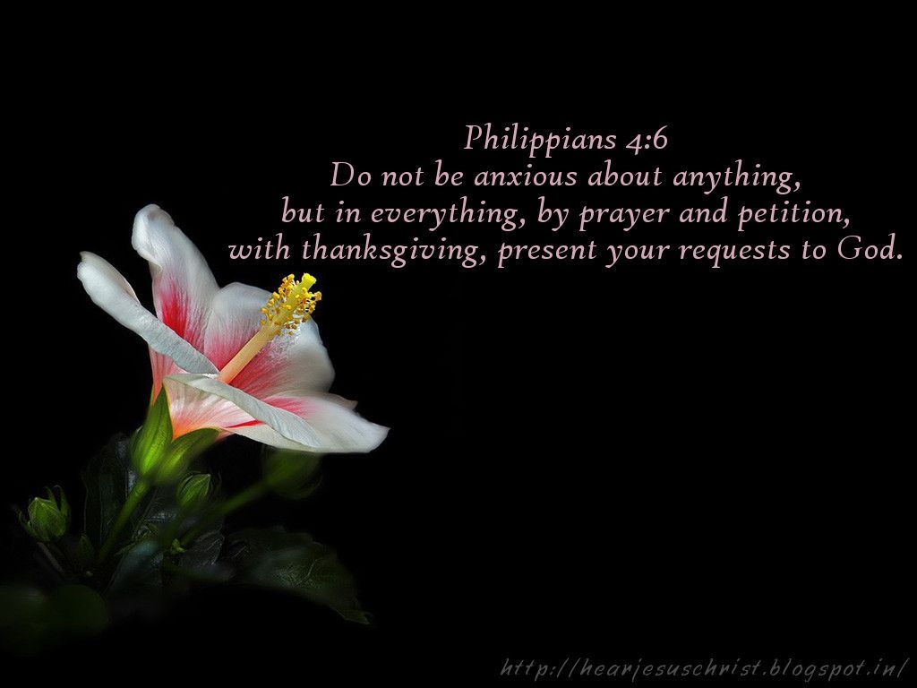 1030x770 Christian Wallpaper: Bible Verse Wallpaper 4:6, Desktop