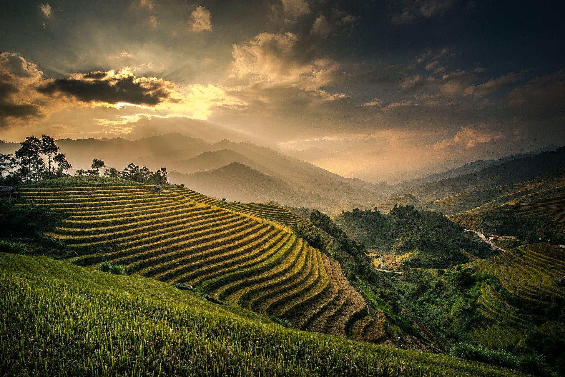 1920x1290 Rice Paddies, Desktop