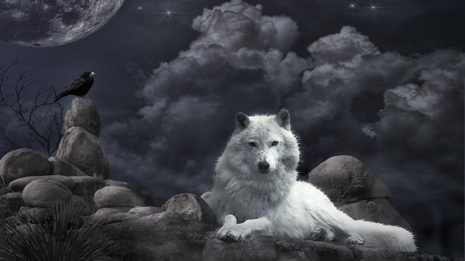 1920x1080 Black Alpha Wolf Wallpaper Wallpaper Website, Desktop