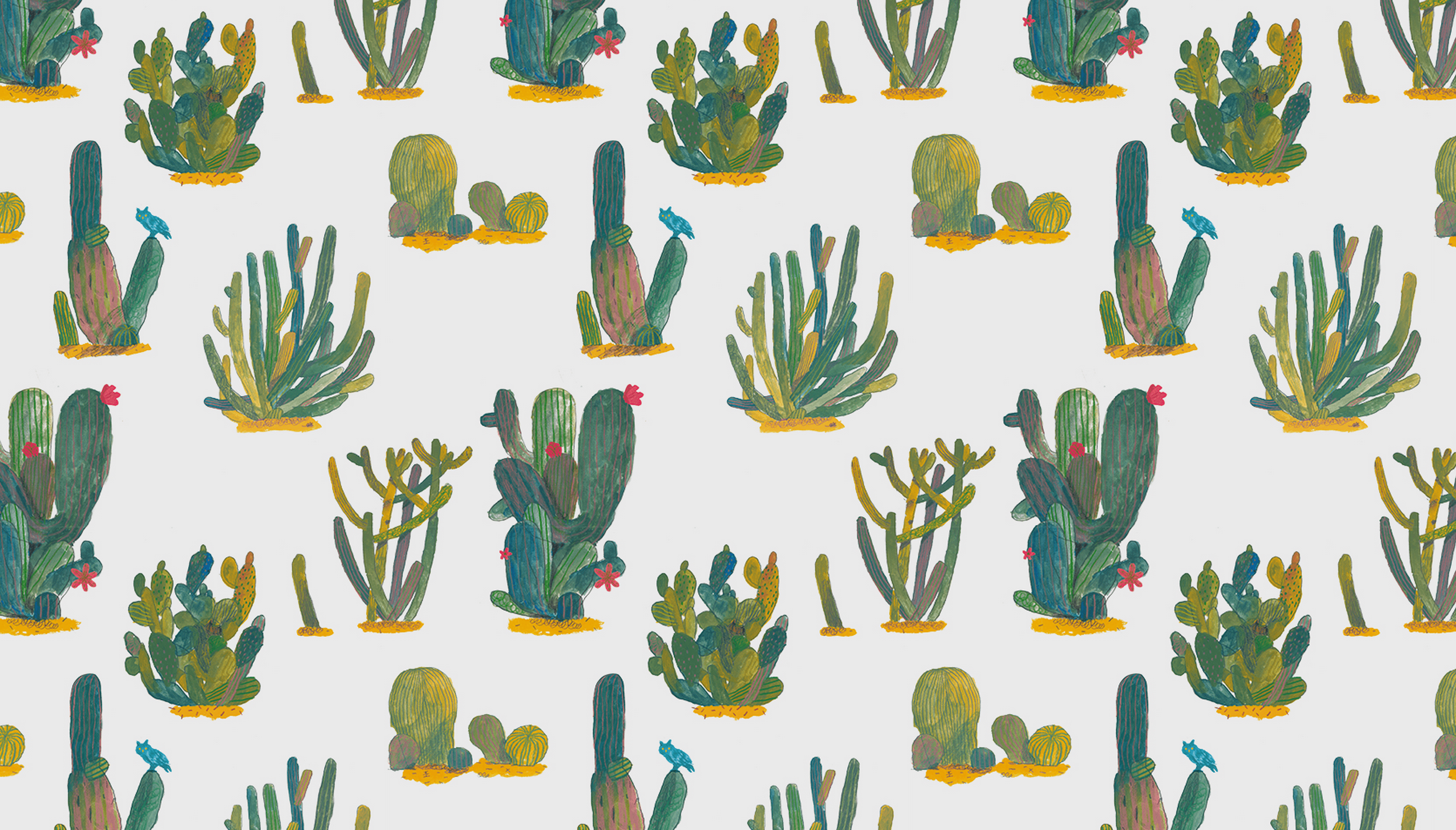 3340x1910 Cactus Wallpaper Tumblr, Desktop