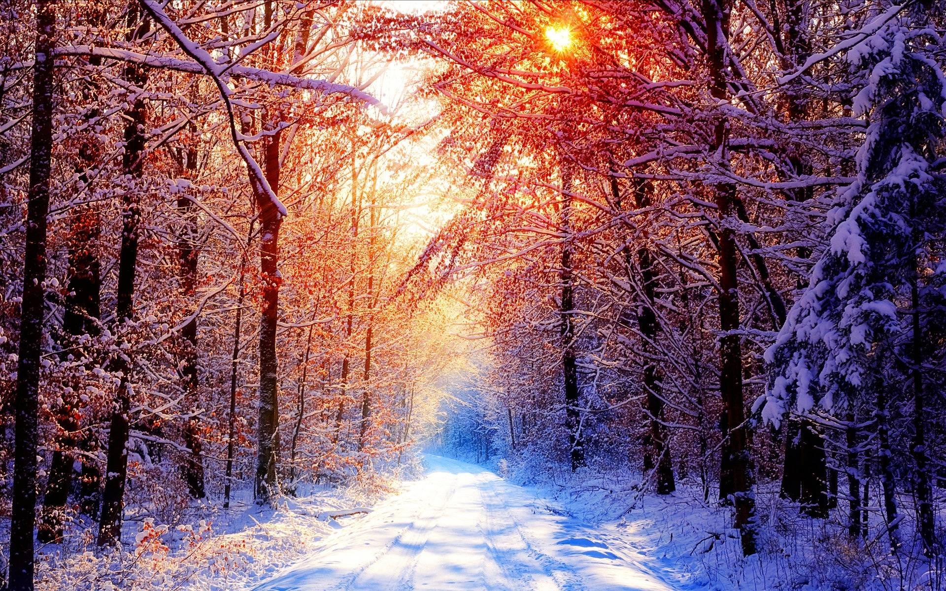 1920x1200 Winter Snow Scenes Wallpaper, Desktop