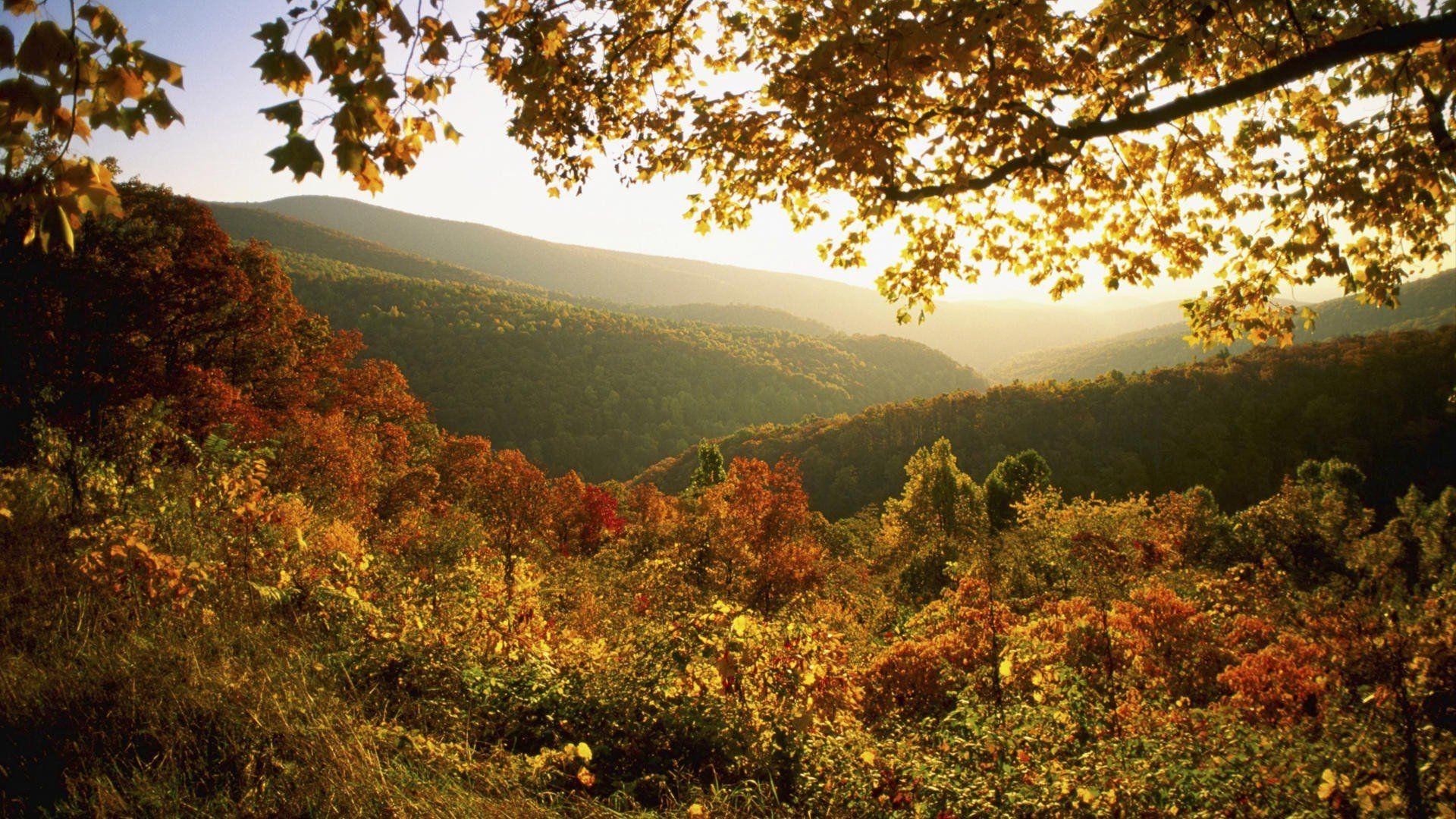 1920x1080 Shenandoah National Park 404917, Desktop