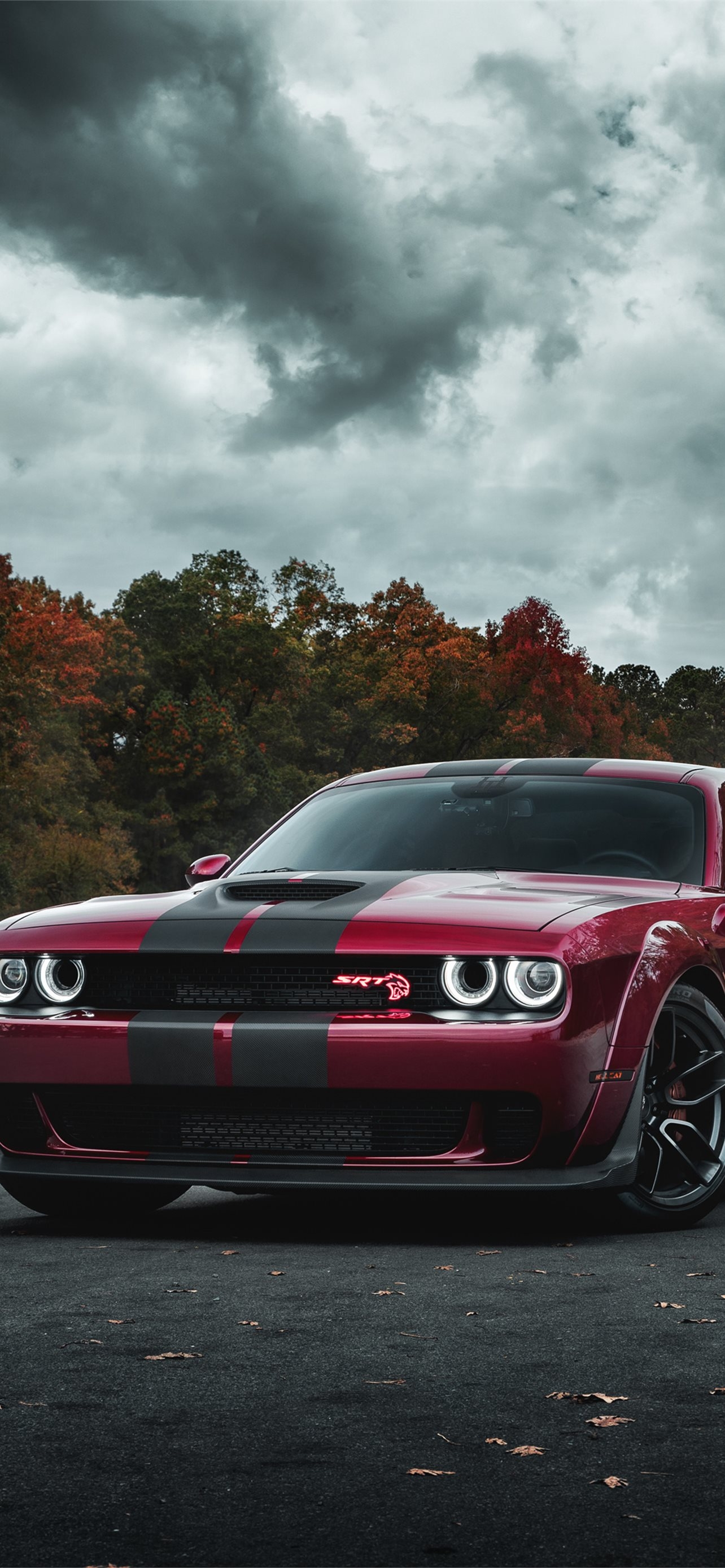 1290x2780 Best Dodge challenger srt hellcat iPhone HD Wallpaper, Phone