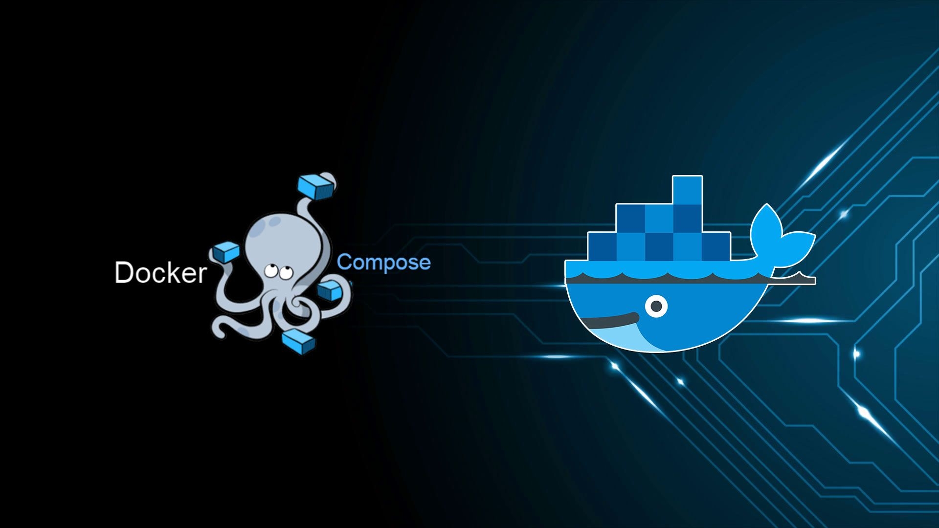 1920x1080 Docker Wallpaper Free Docker Background, Desktop