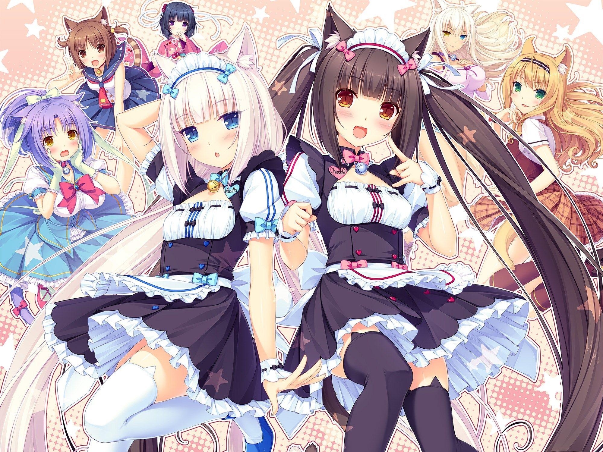 2000x1500 Nekopara Wallpaper 7 X 1500, Desktop