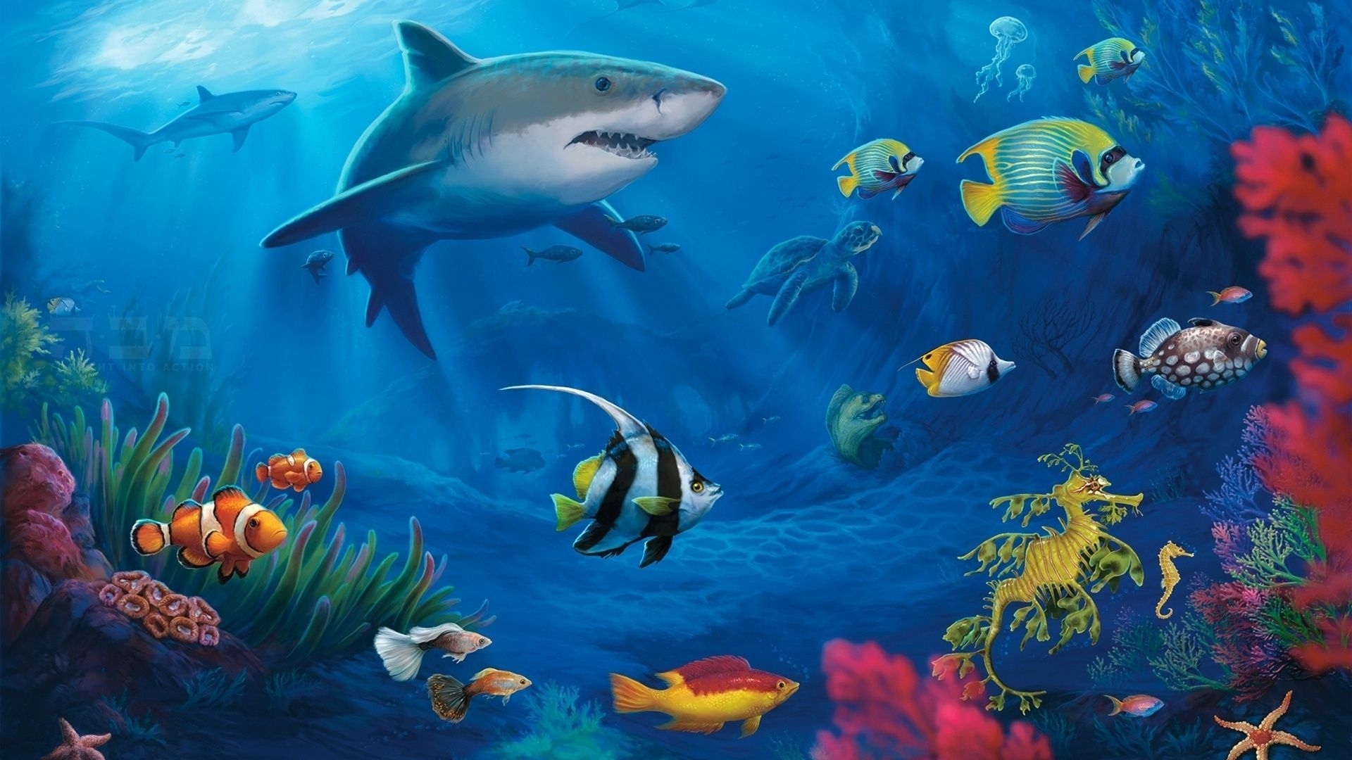 1920x1080 Fish 3D Wallpaper Free Download For Pcwalpaperlist.com, Desktop