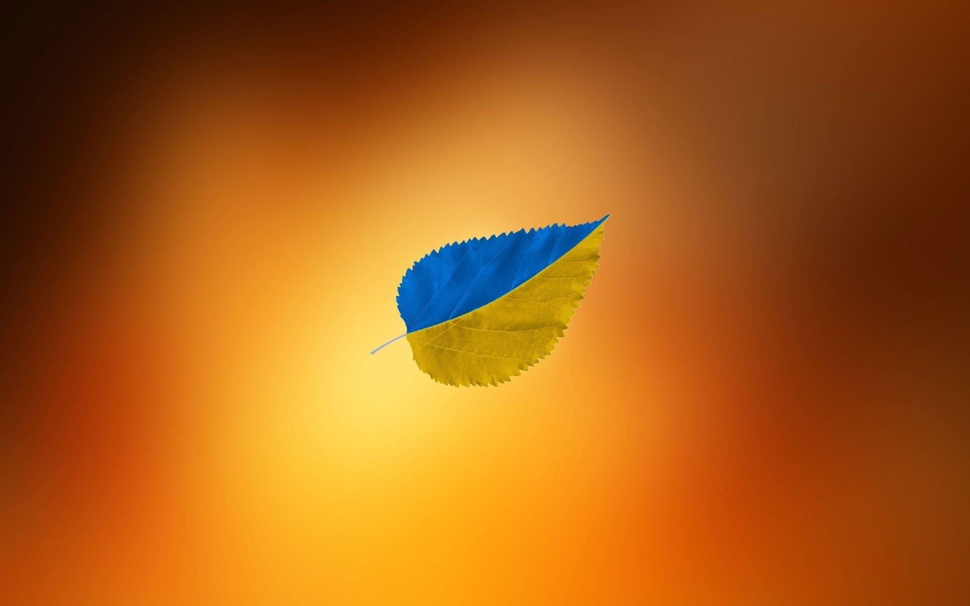 1920x1200 A piece of wood with the colors of the Ukrainian flag. Android, Desktop